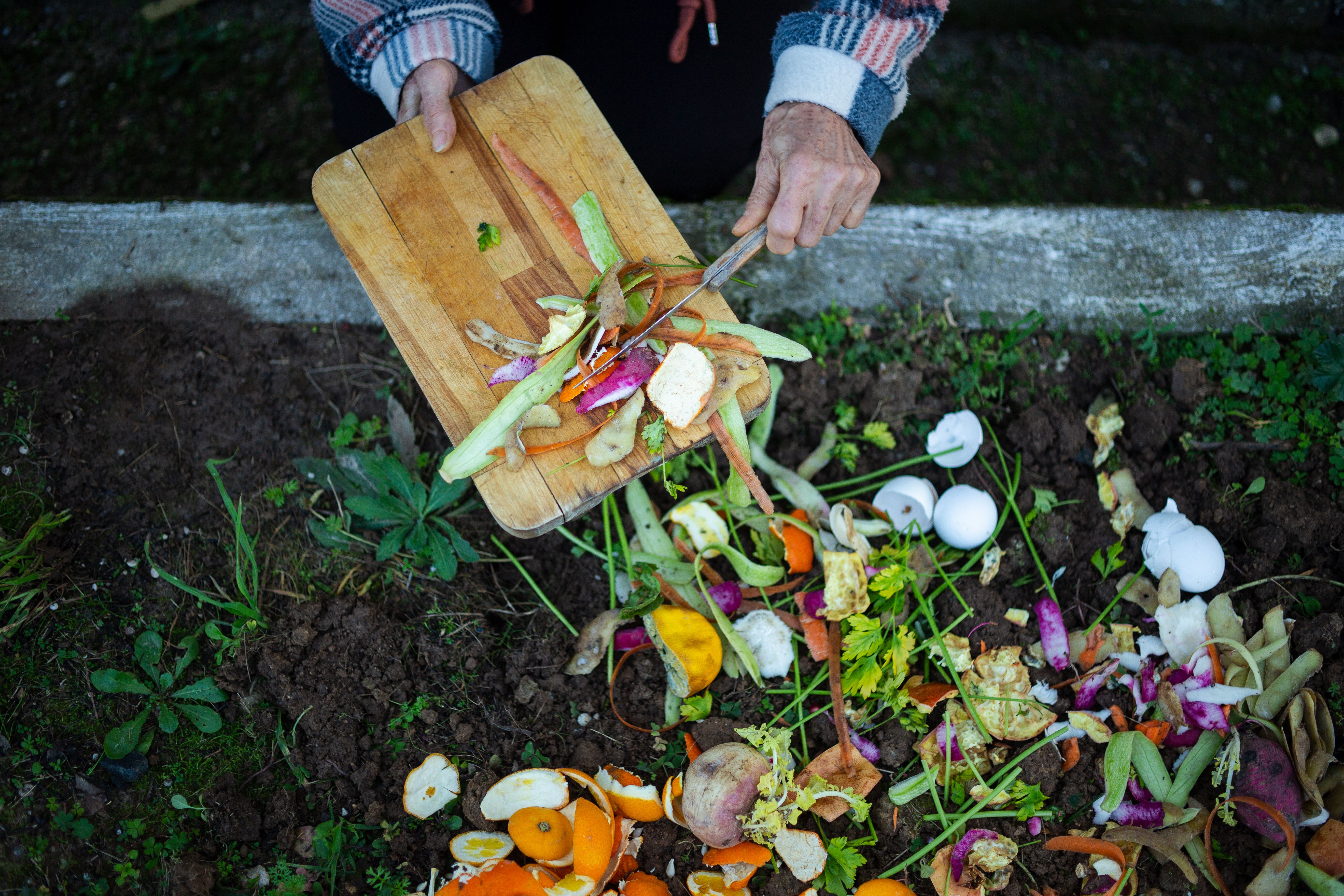 food waste reduction