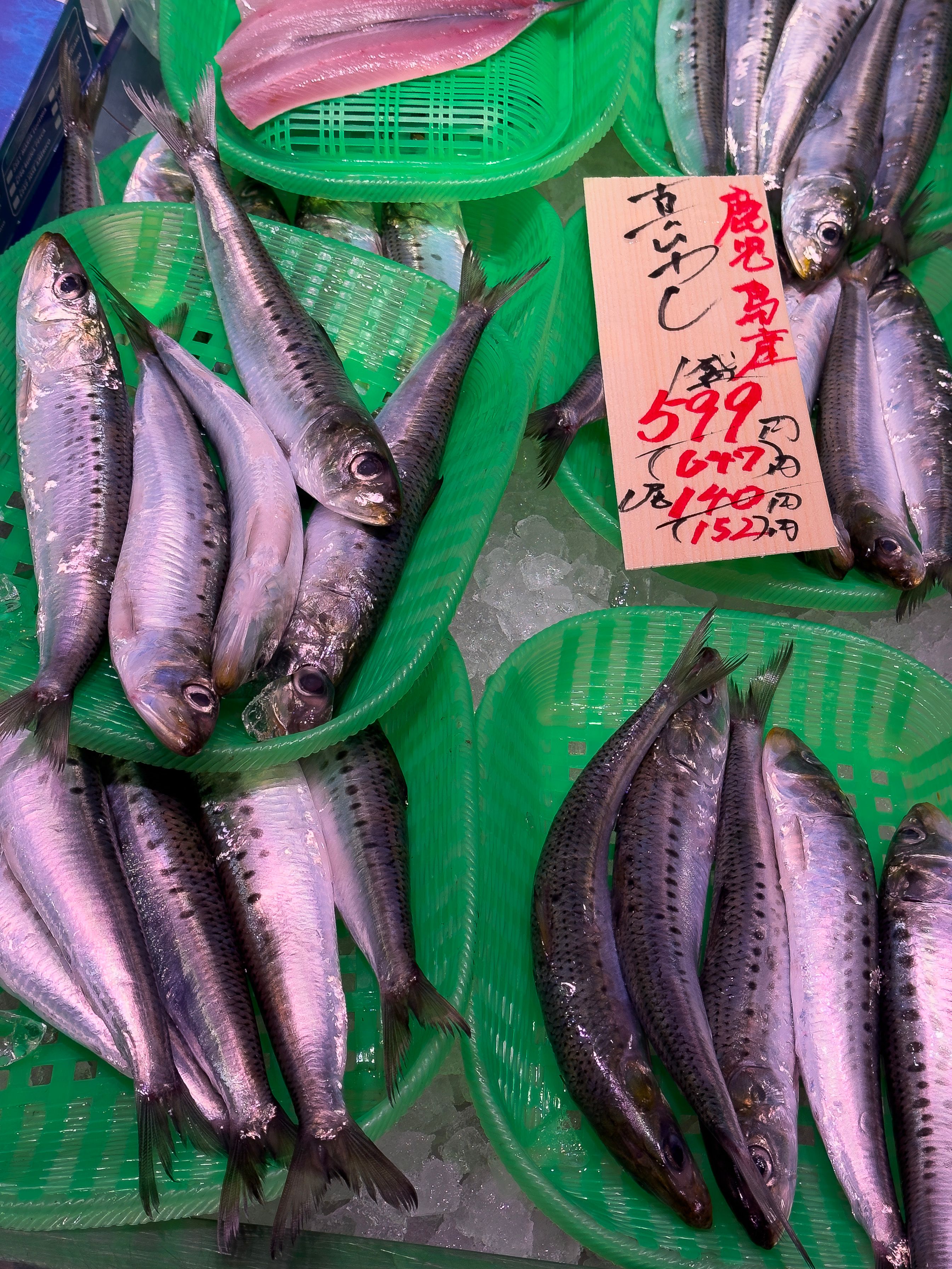 kagoshima fishing