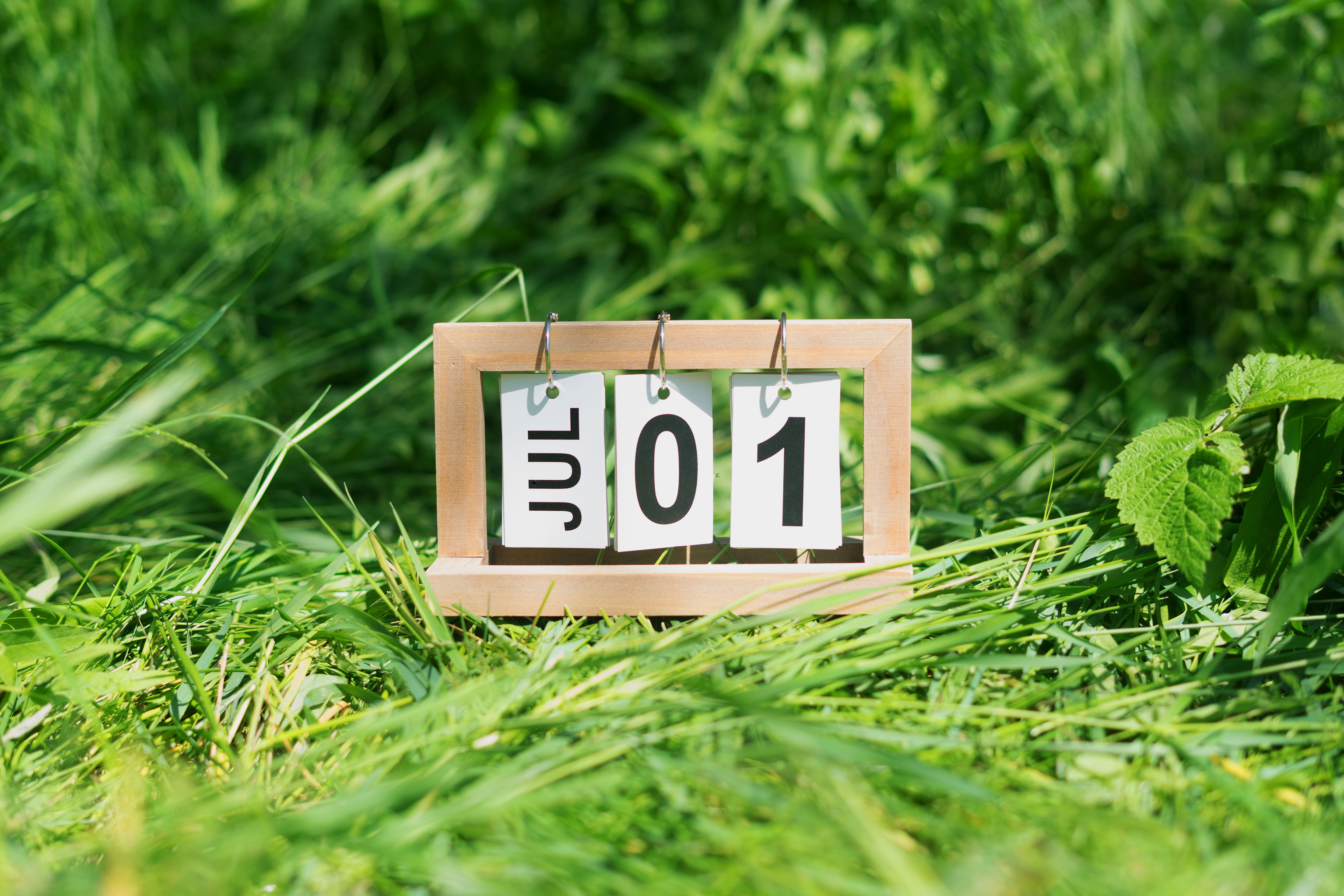 lawn care calendar