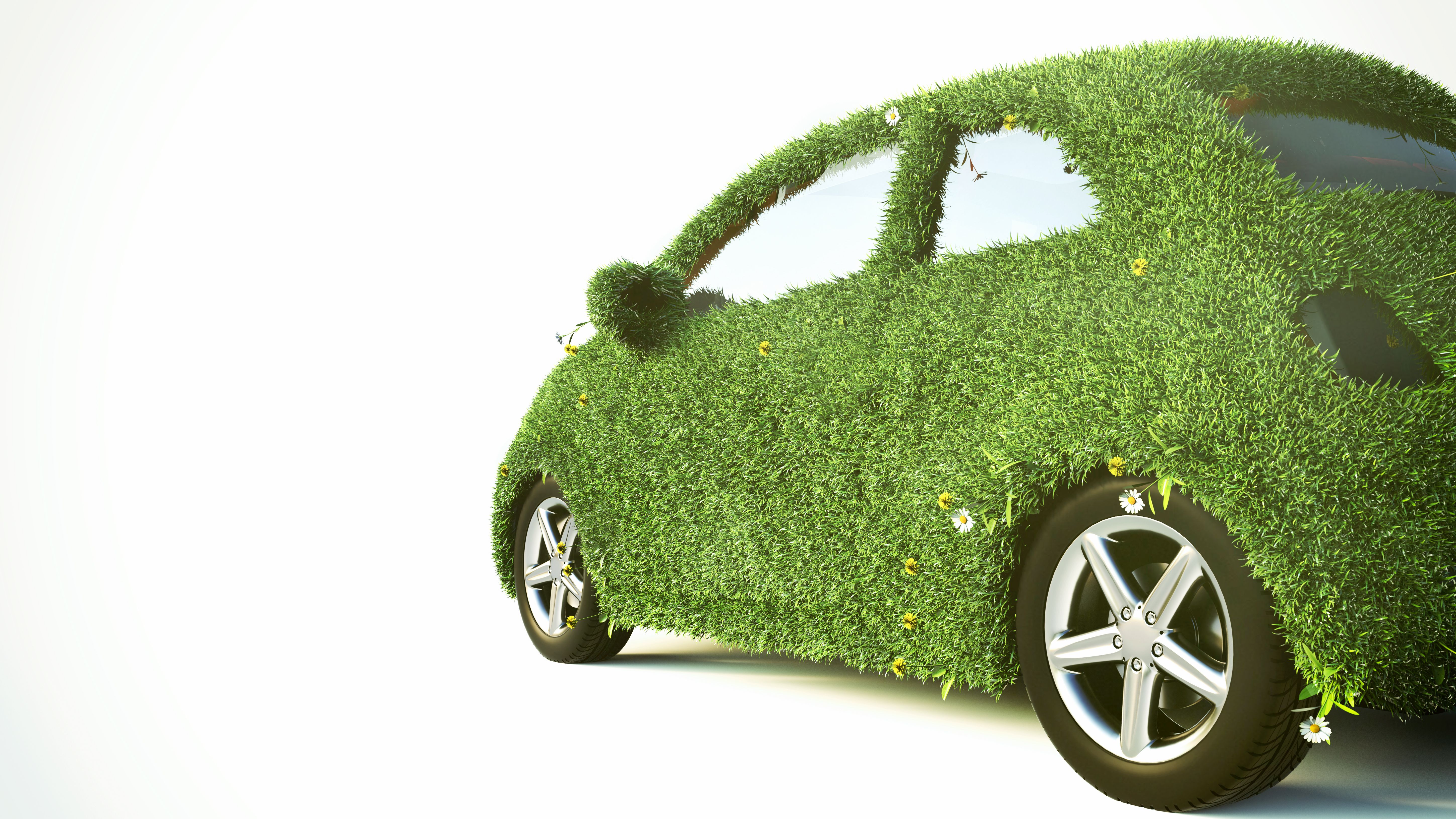 eco friendly car products