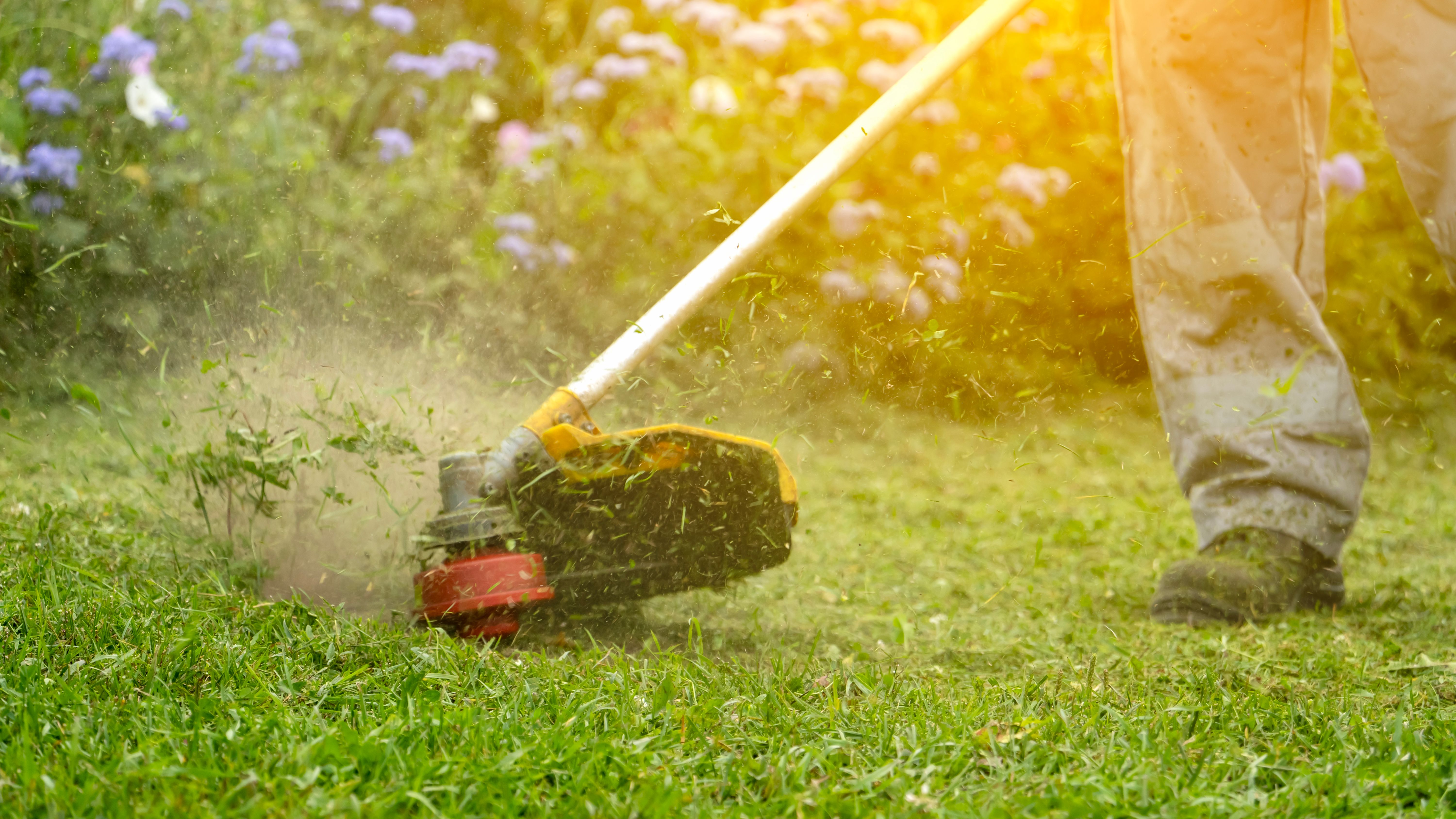 seasonal lawn service
