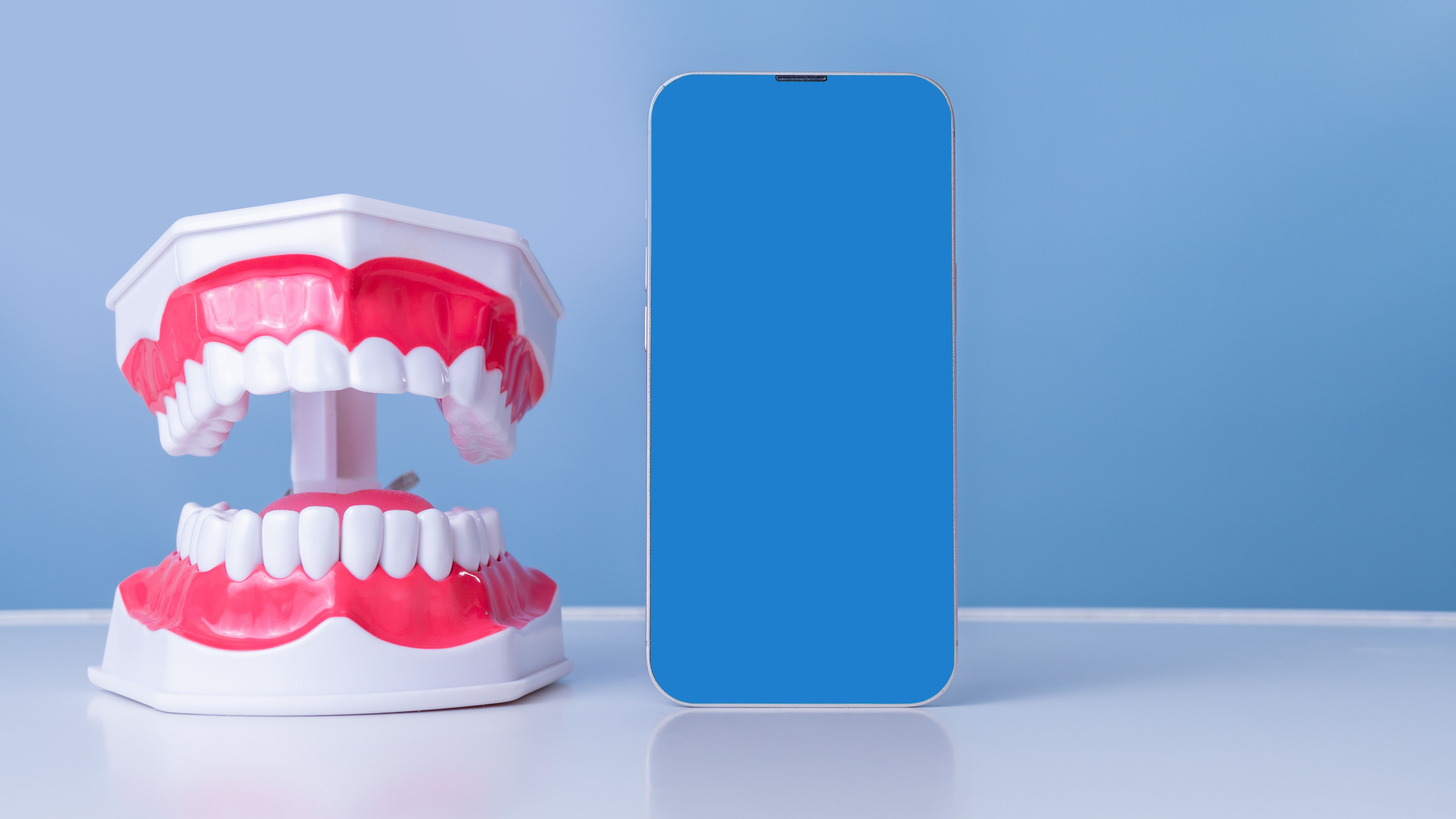 interactive dental model