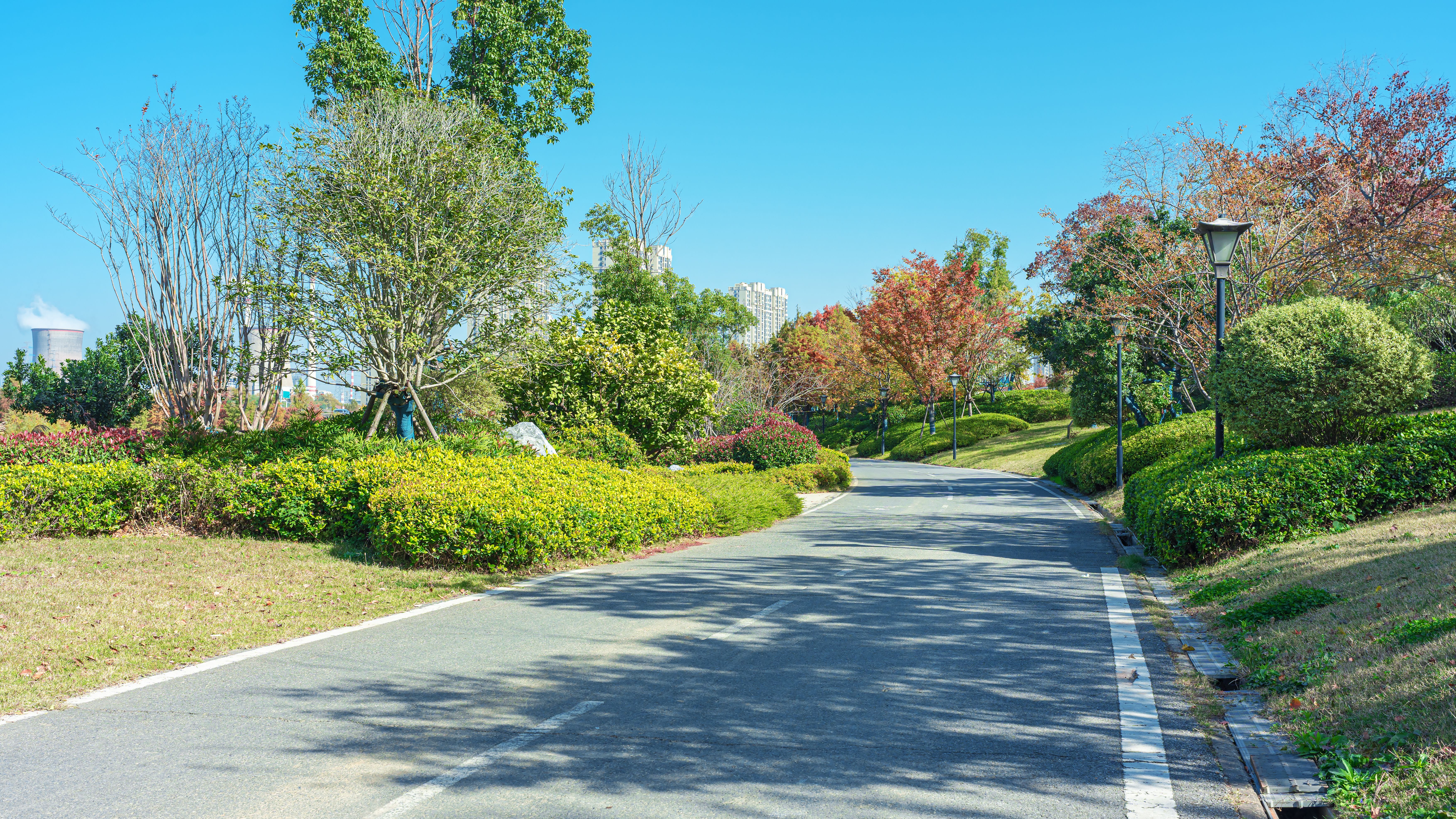 tarmac driveway spring