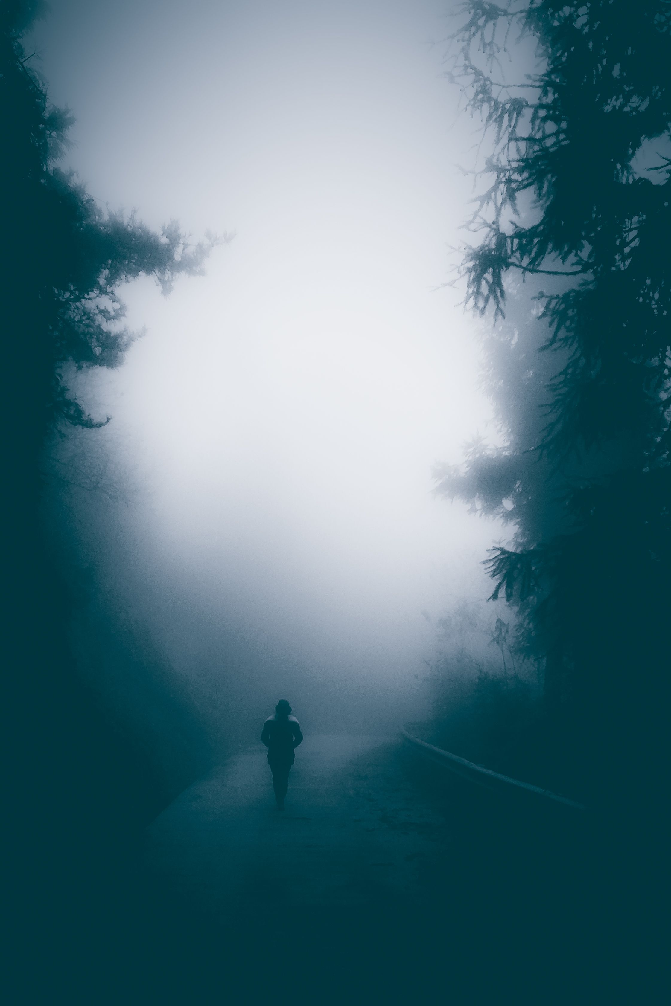 Young woman walking on foggy road lonely Young woman walking on foggy road lonely