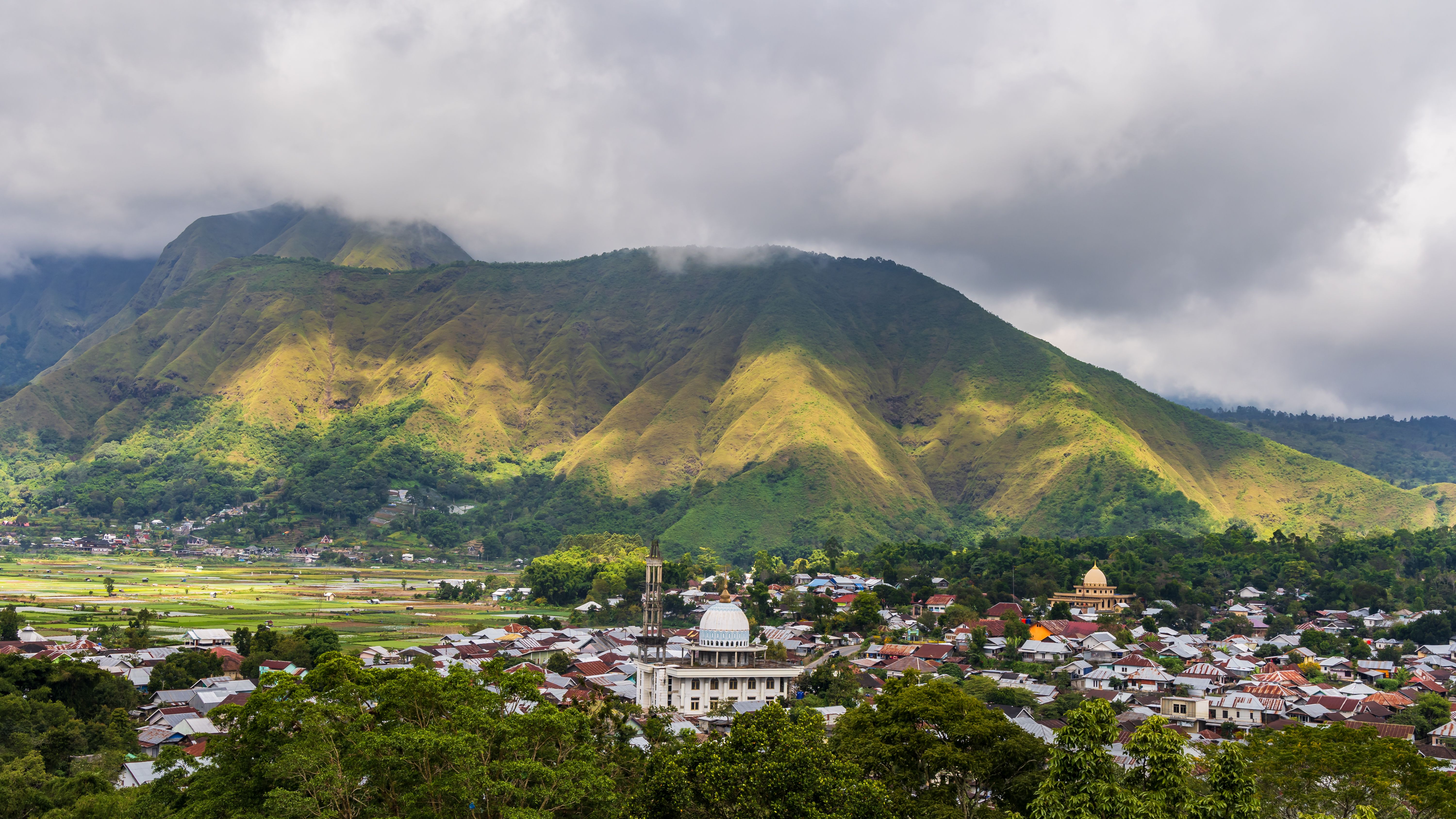 lombok fields