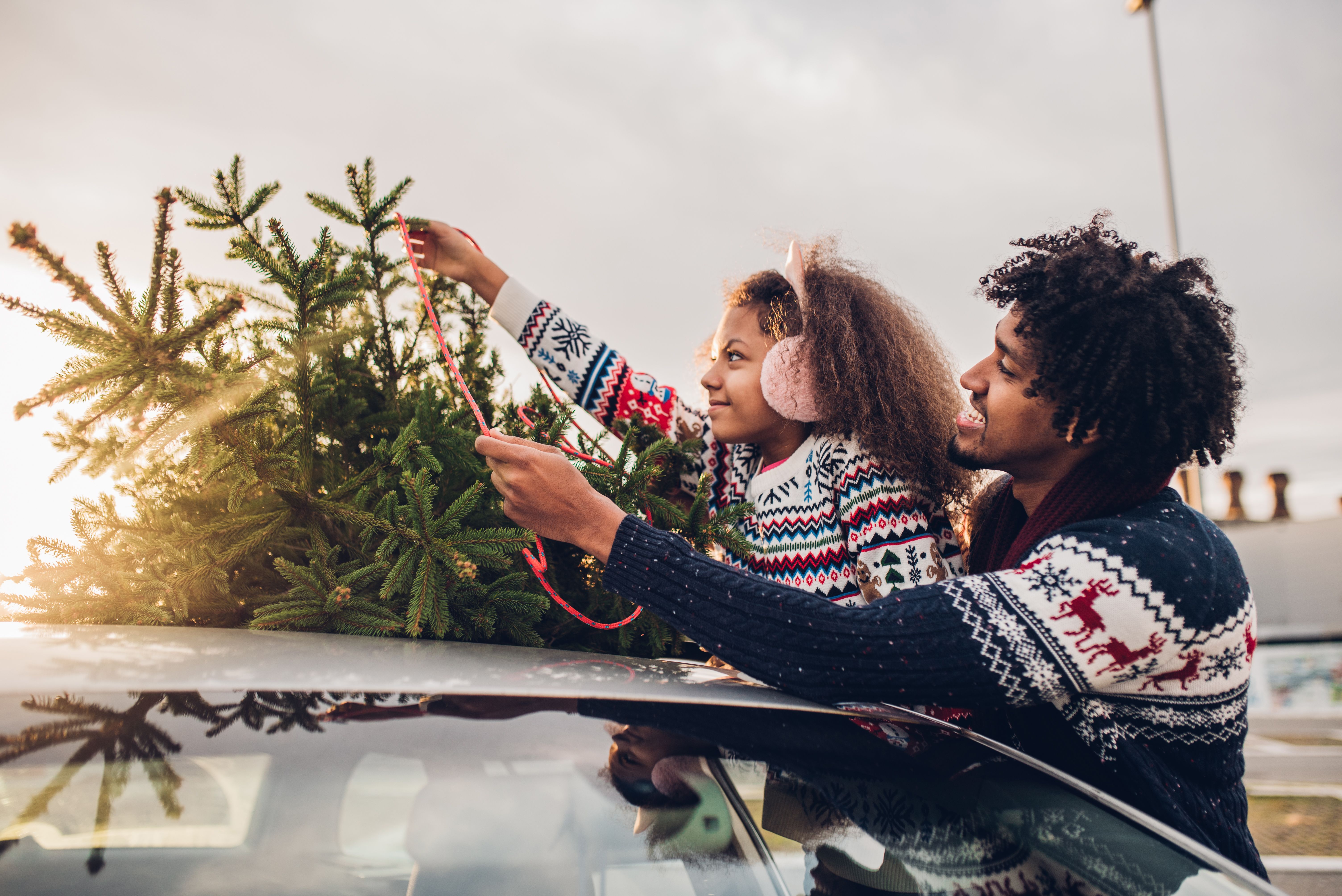 seasonal picking options