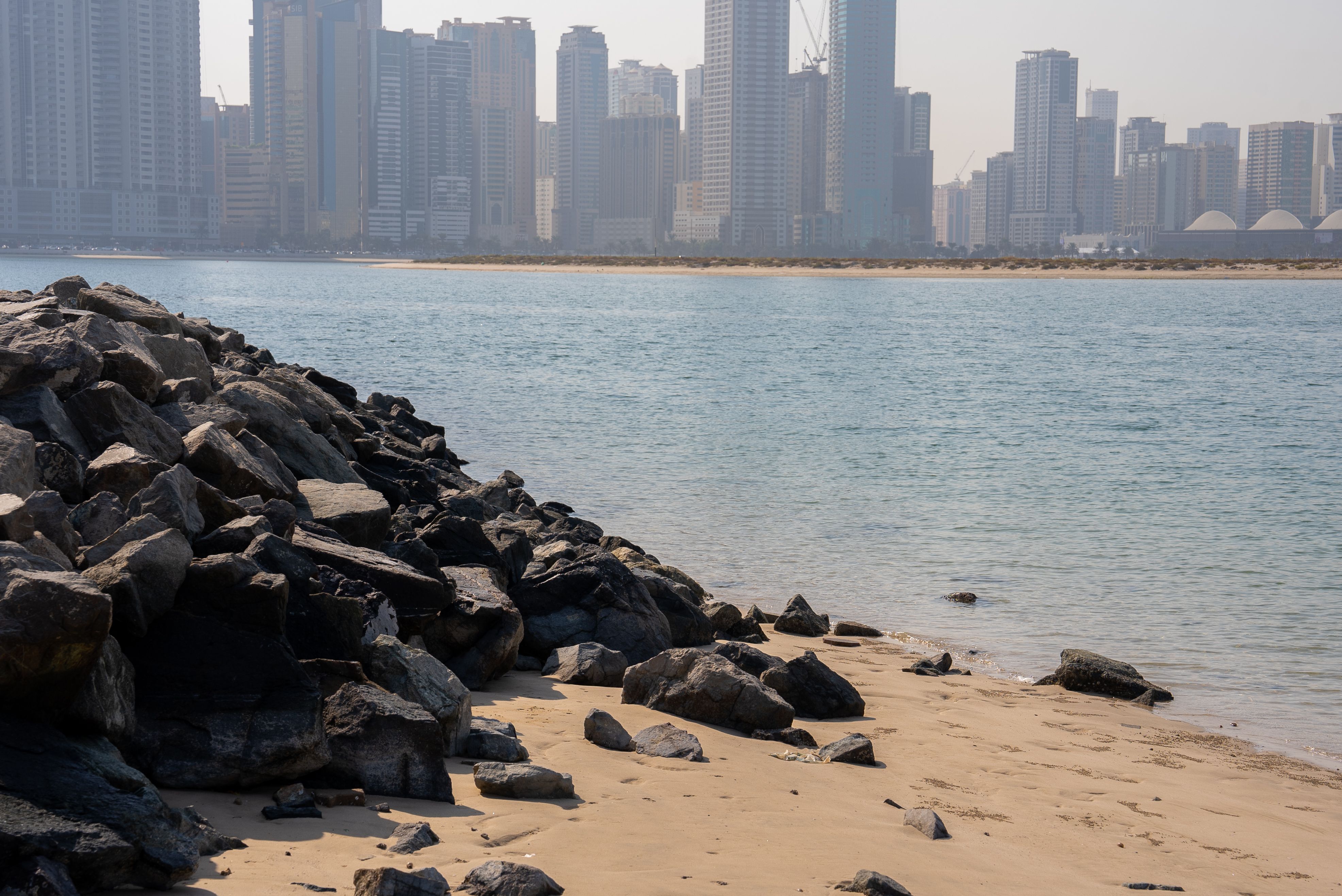 UAE marine environment