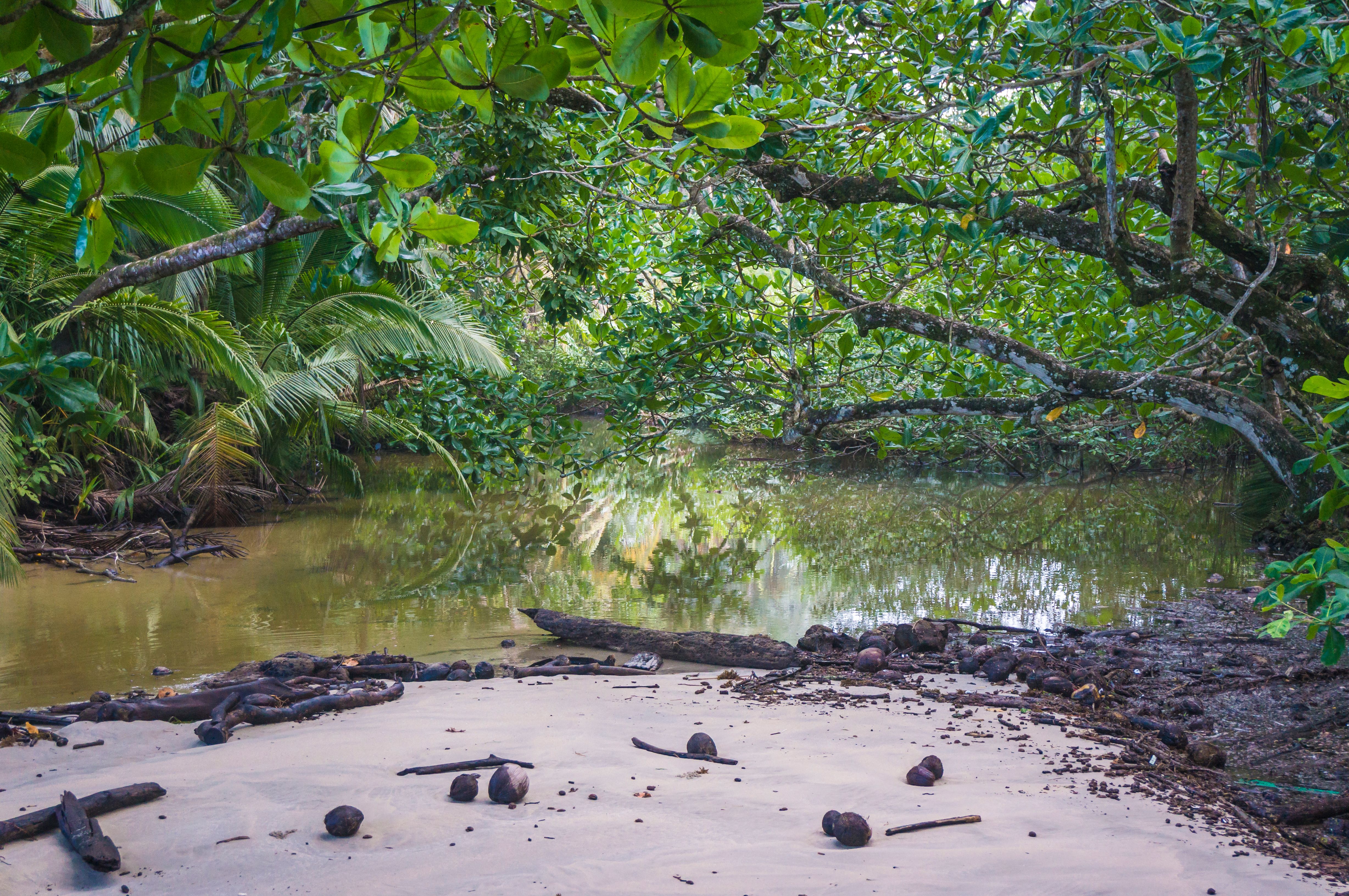 costa rica legal documents