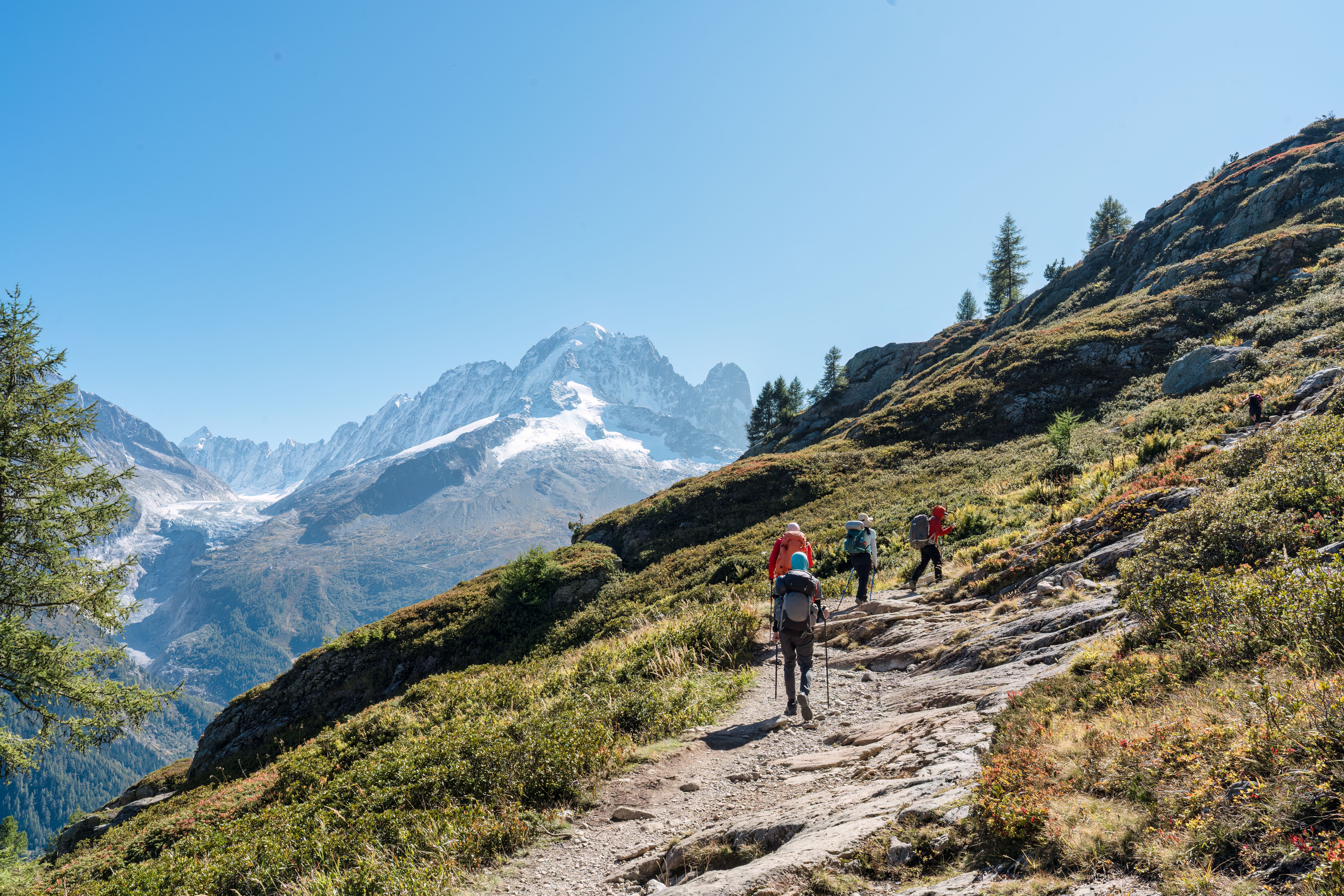 french alps summer