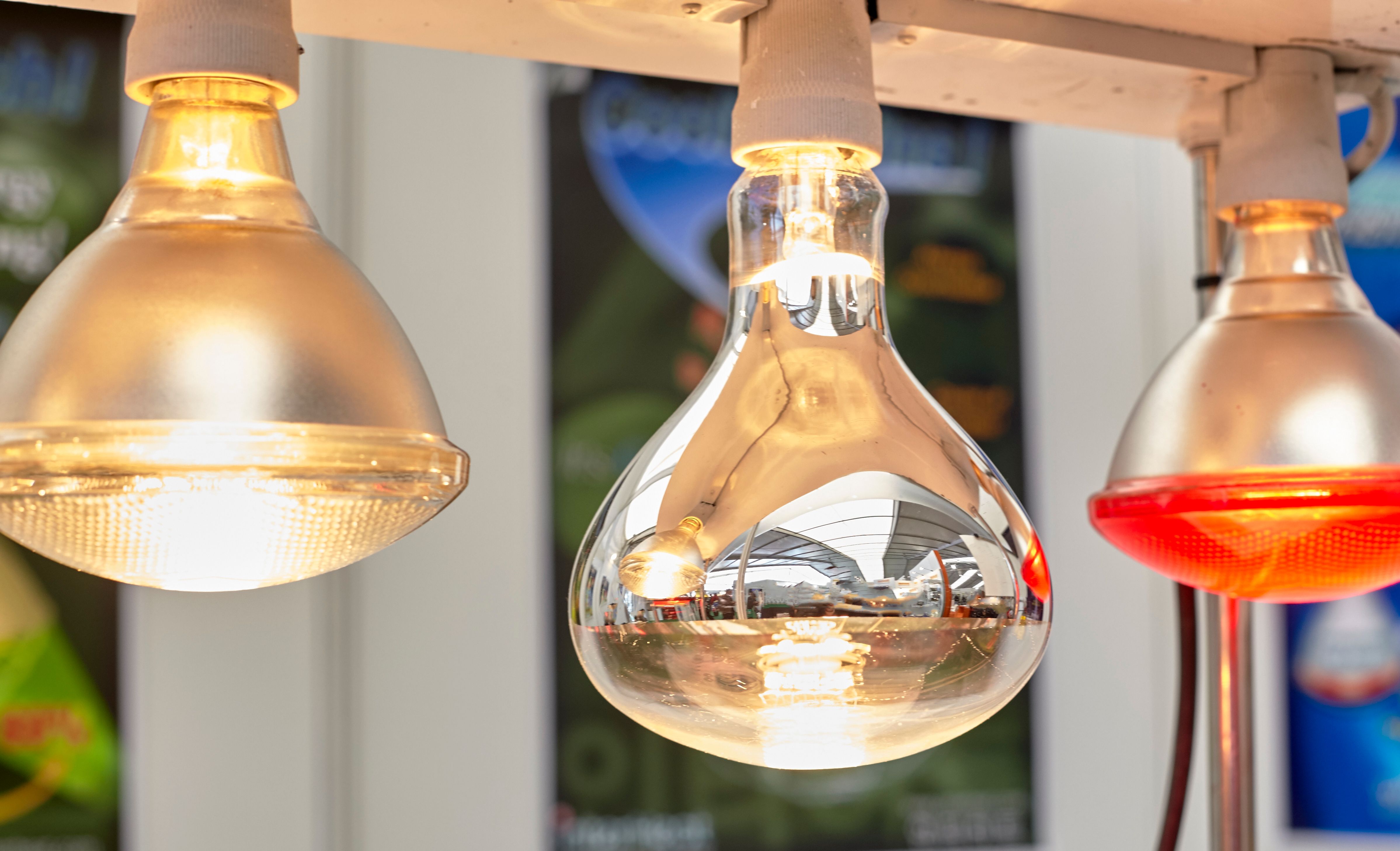 choosing heat lamp