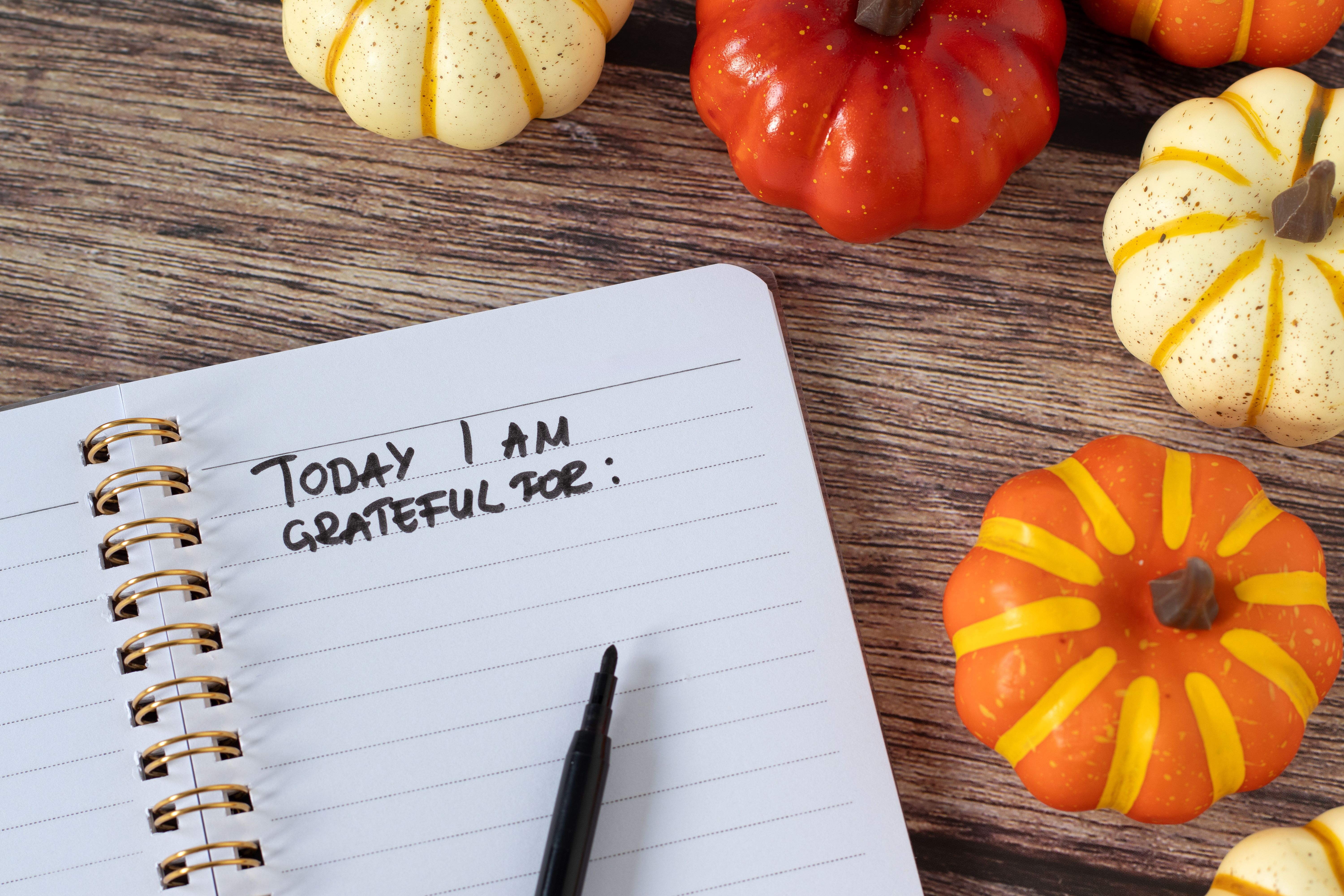 gratitude journal
