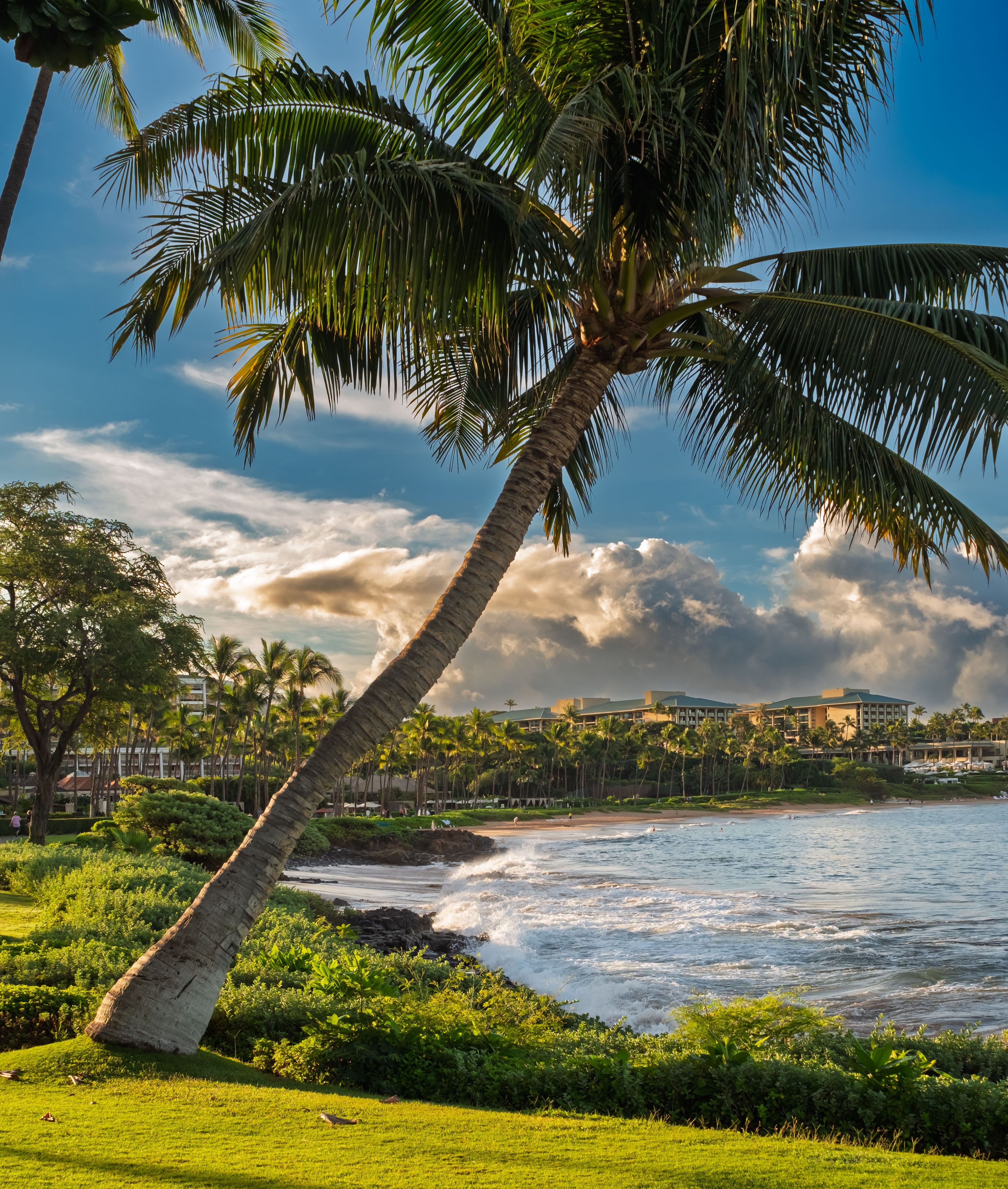 maui coastline