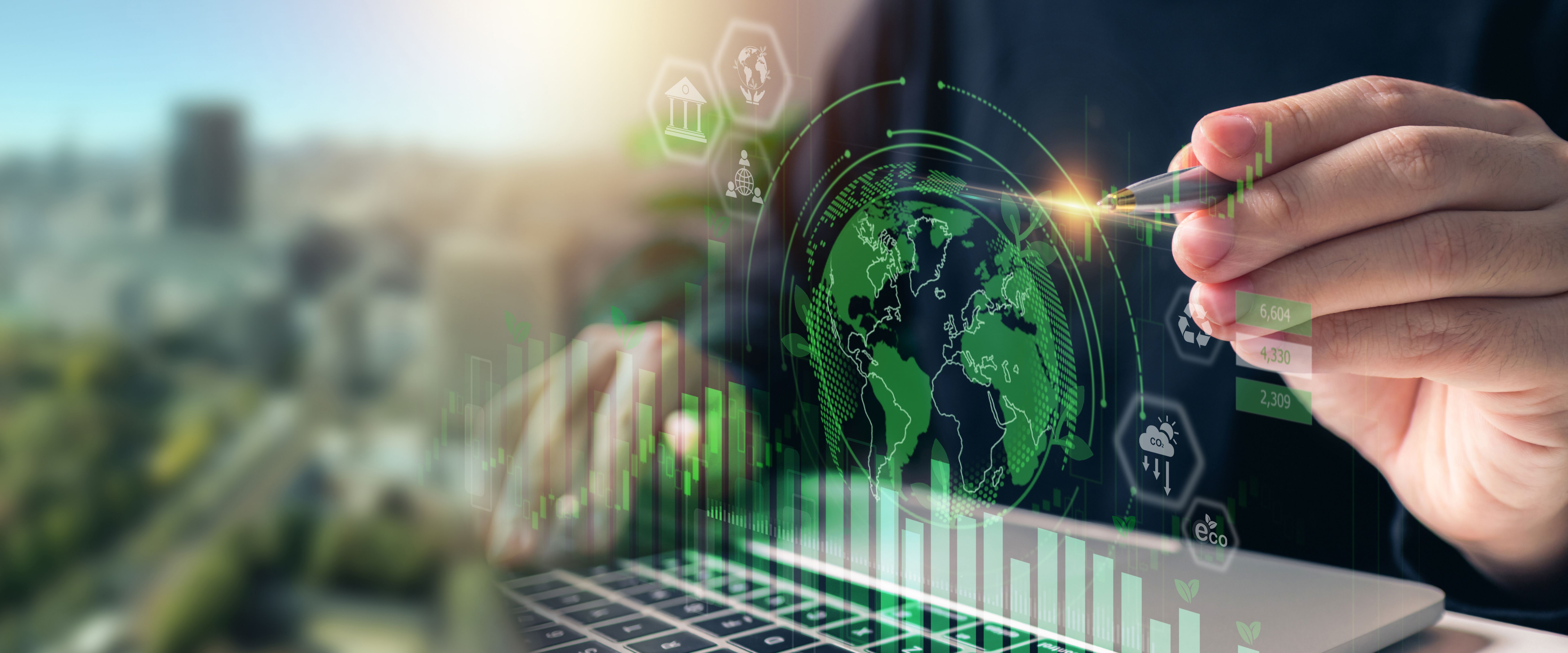 sustainability leadership