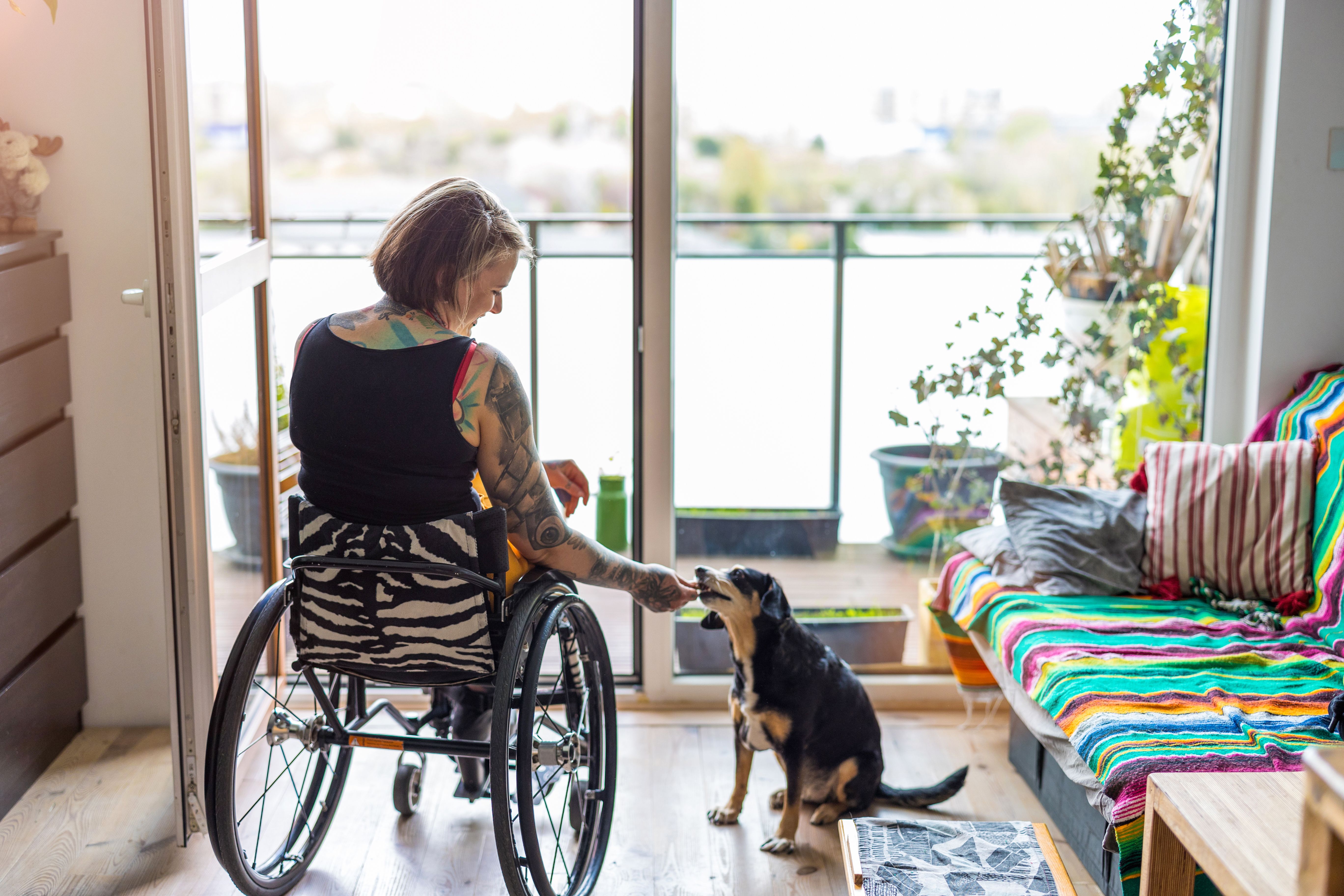 home accessibility
