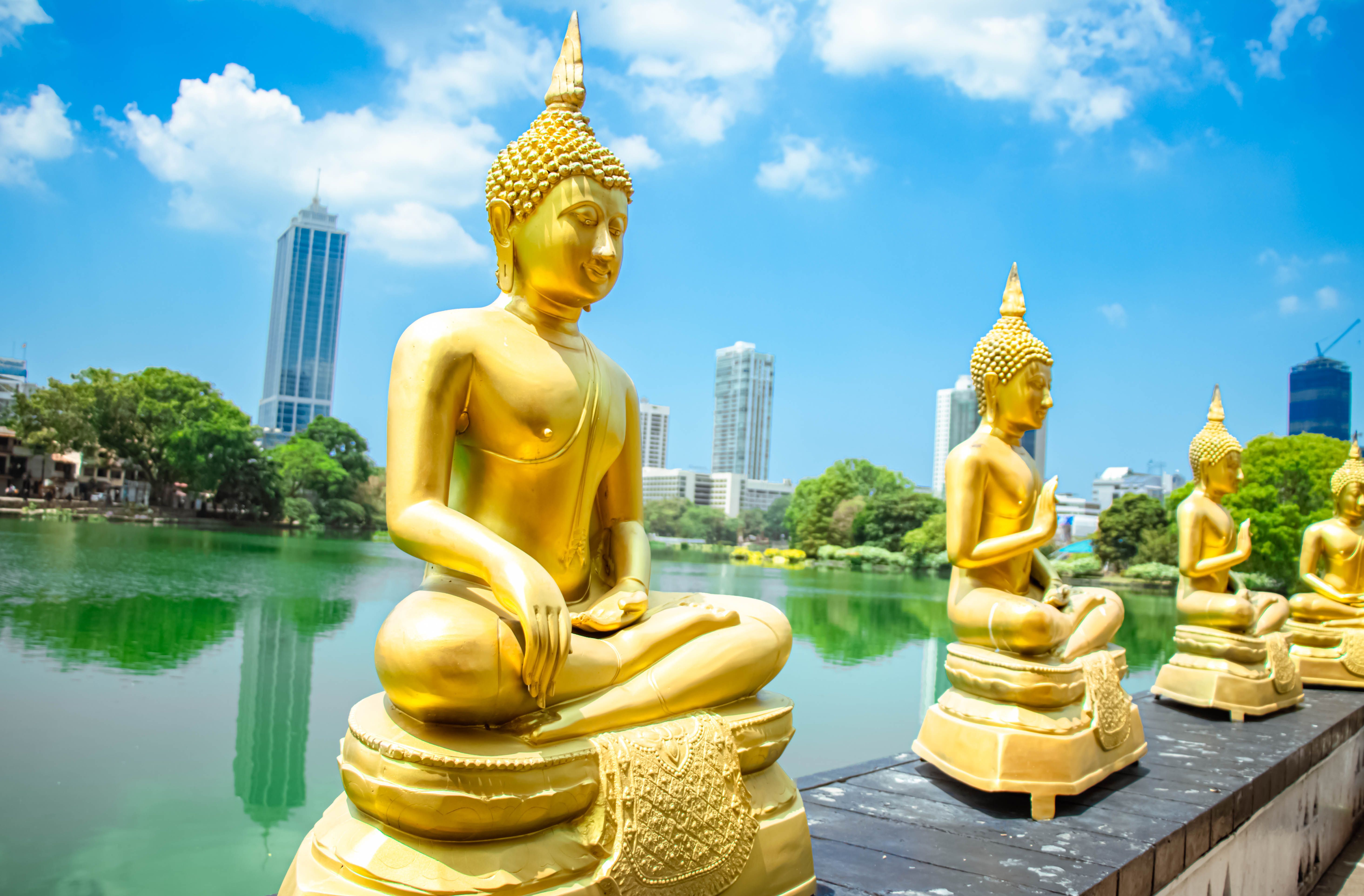 View of the skyscrapers of the Colombo city, from Gangaramaya temple. - Sri Lanka View of the skyscrapers of the Colombo city, from Gangaramaya temple. - Sri Lanka