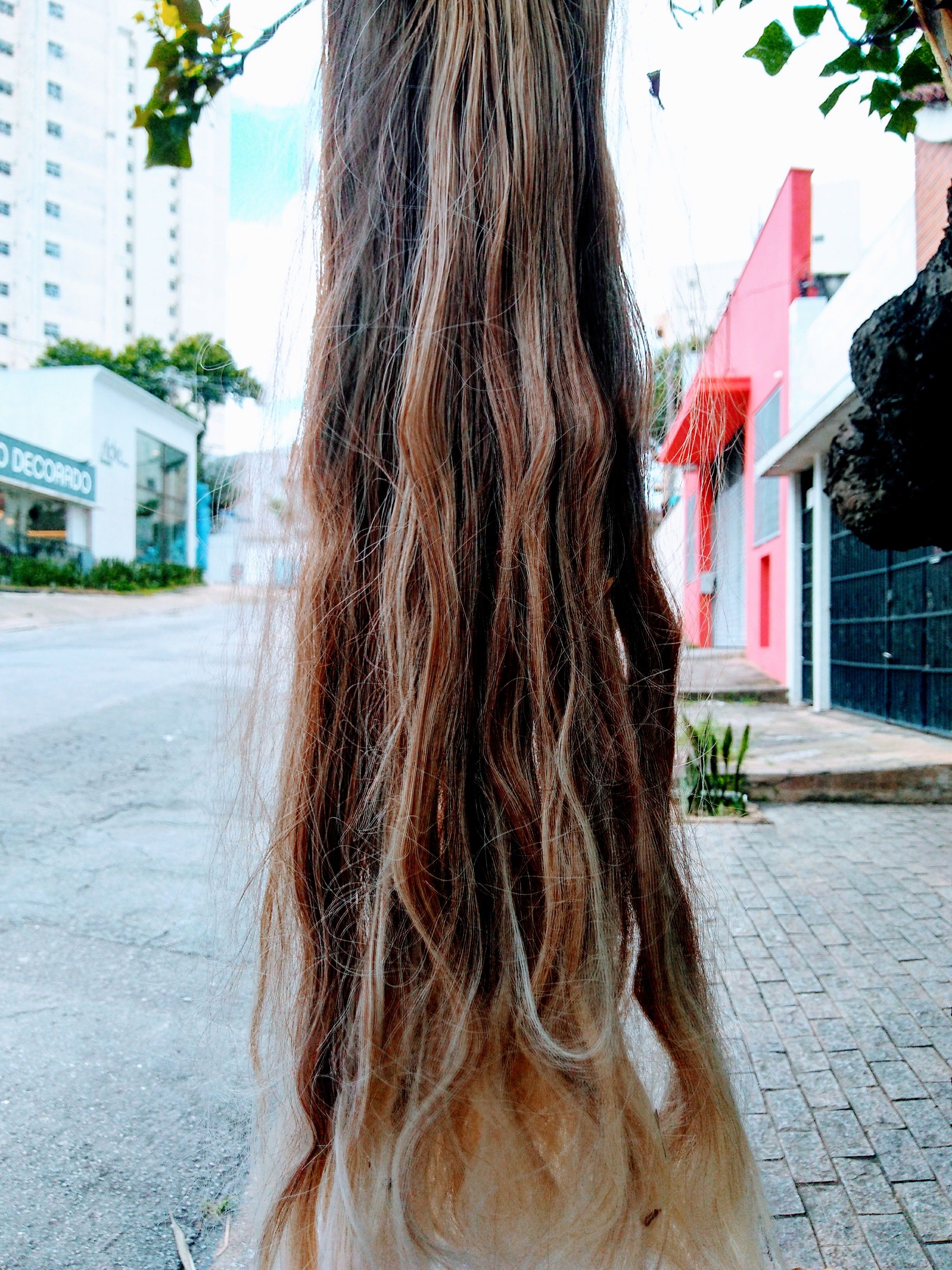 cabelo seco