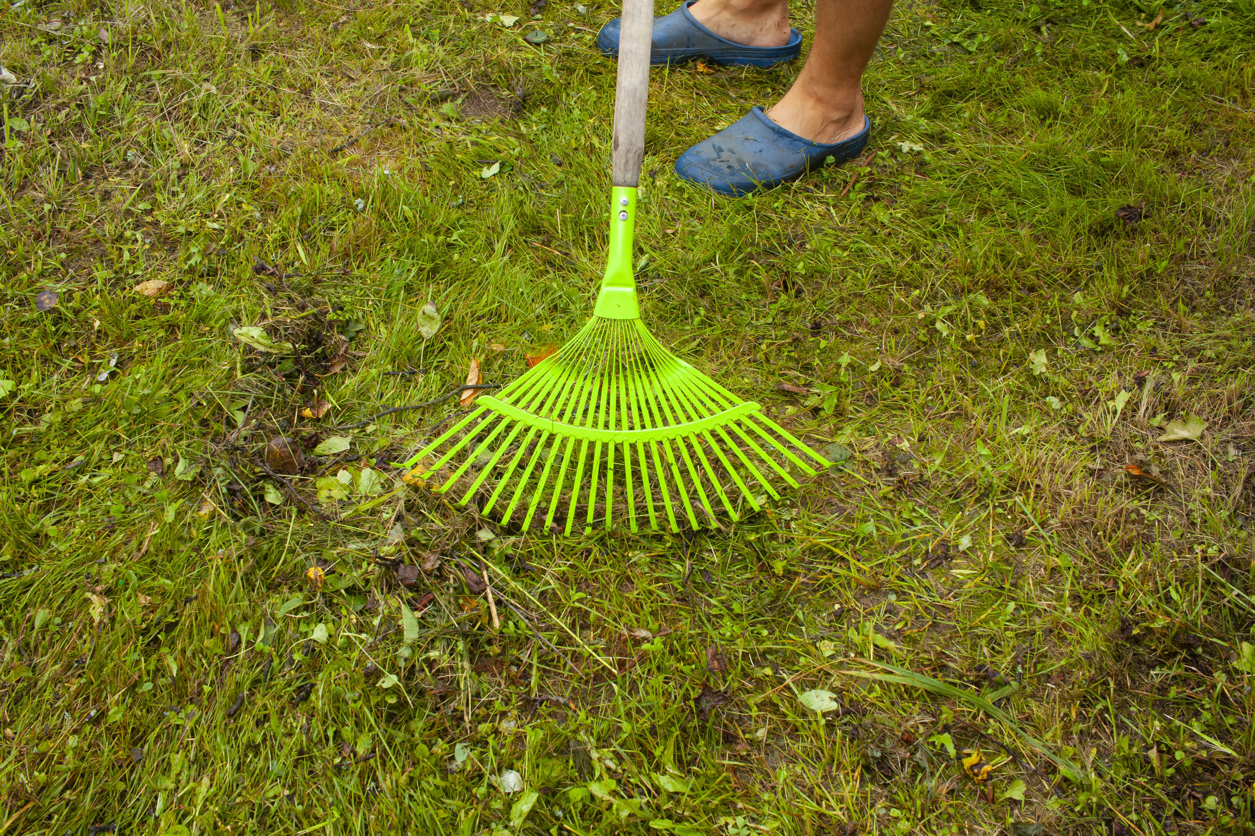 eco-friendly lawn equipment