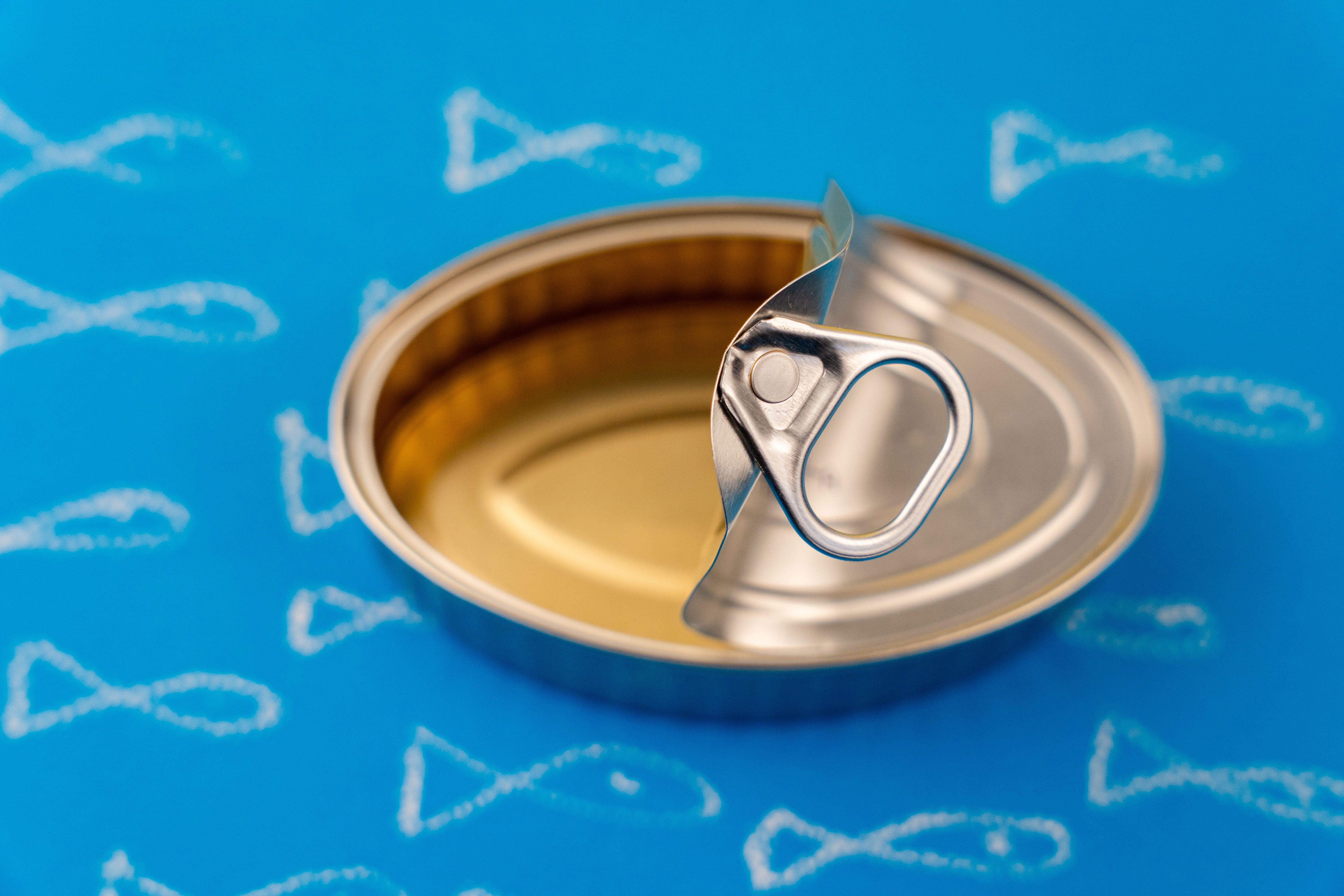 fish preservation