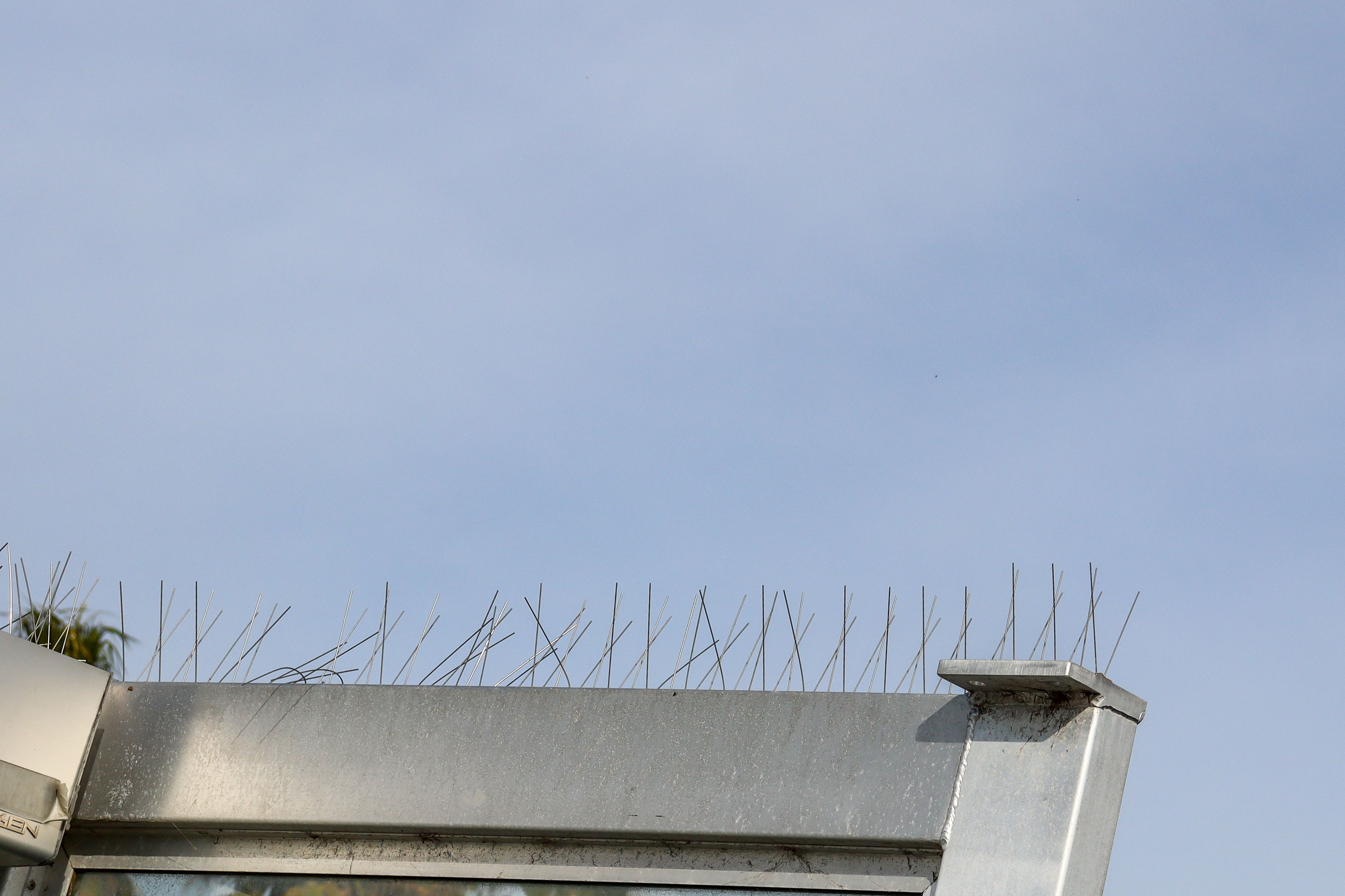 bird deterrents
