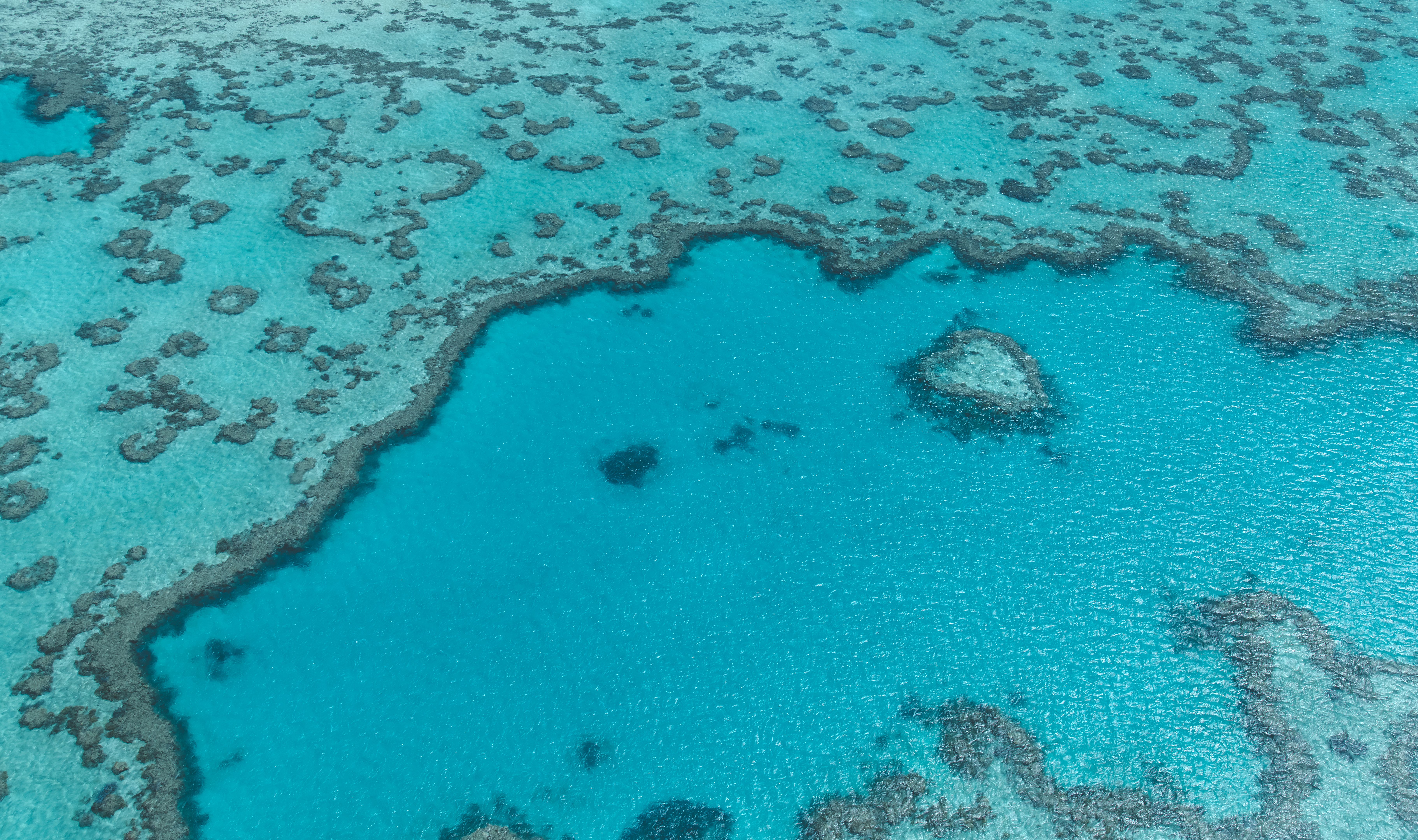 great barrier reef