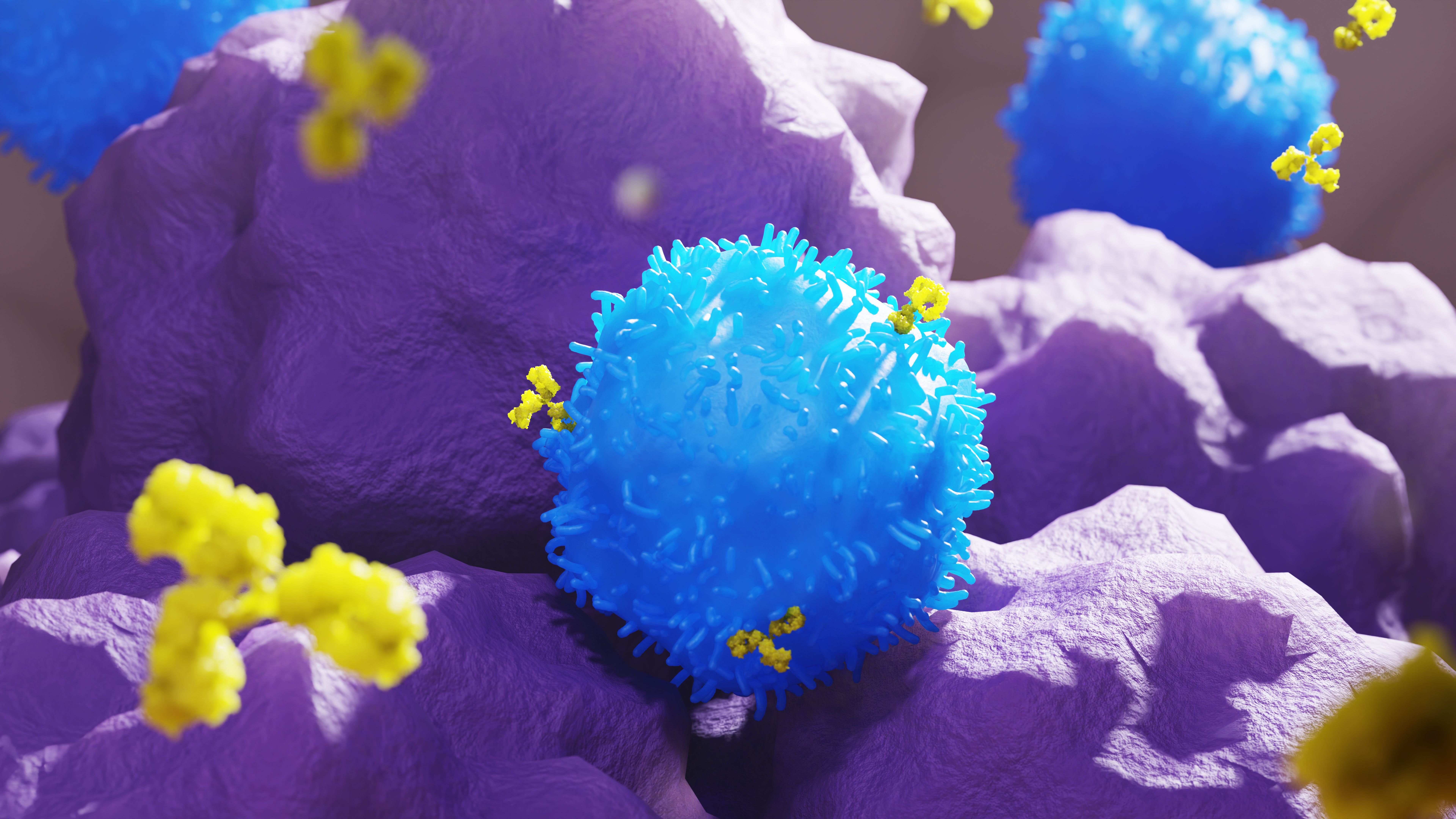 immunotherapy cancer