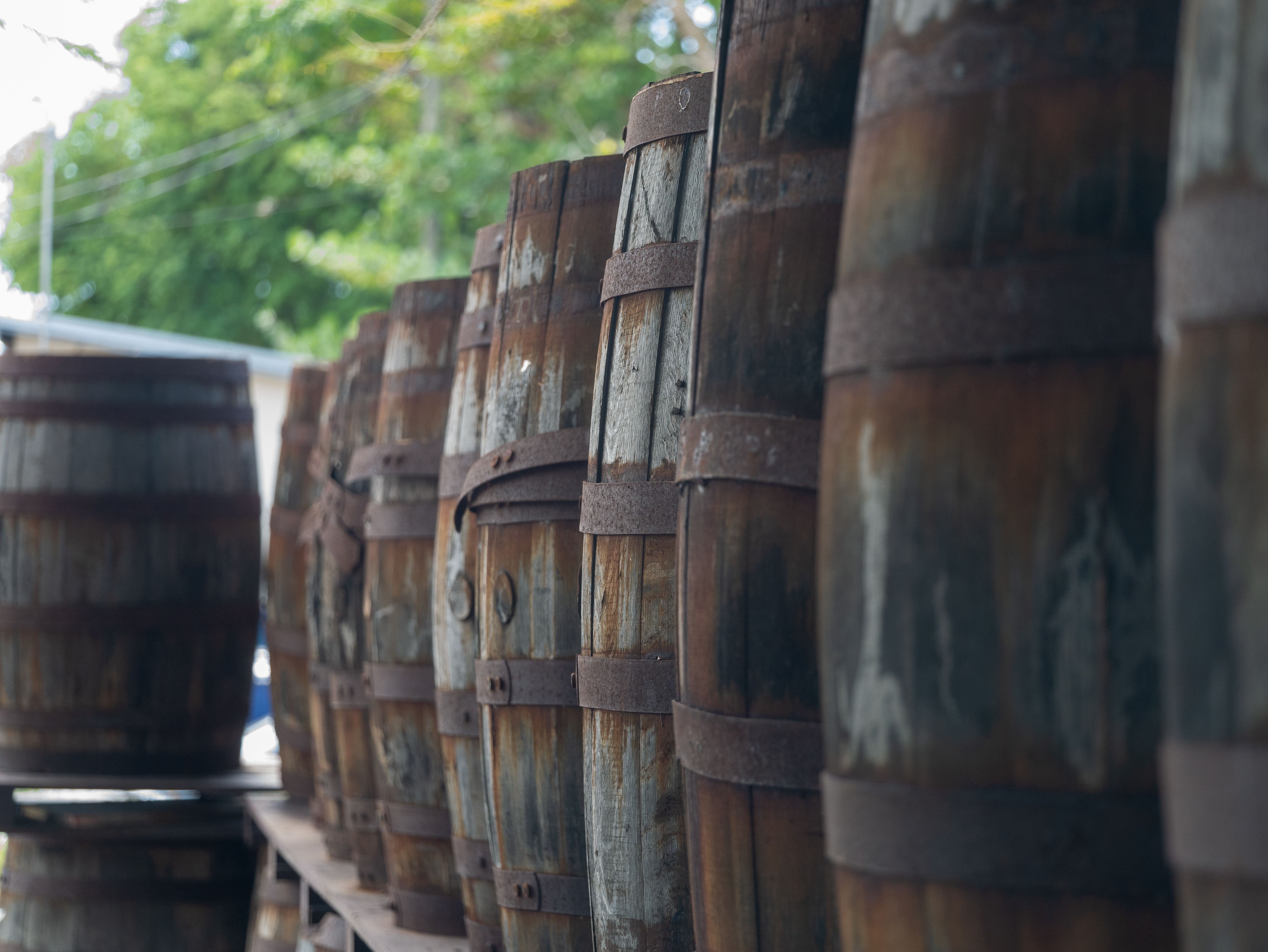 barbados rum