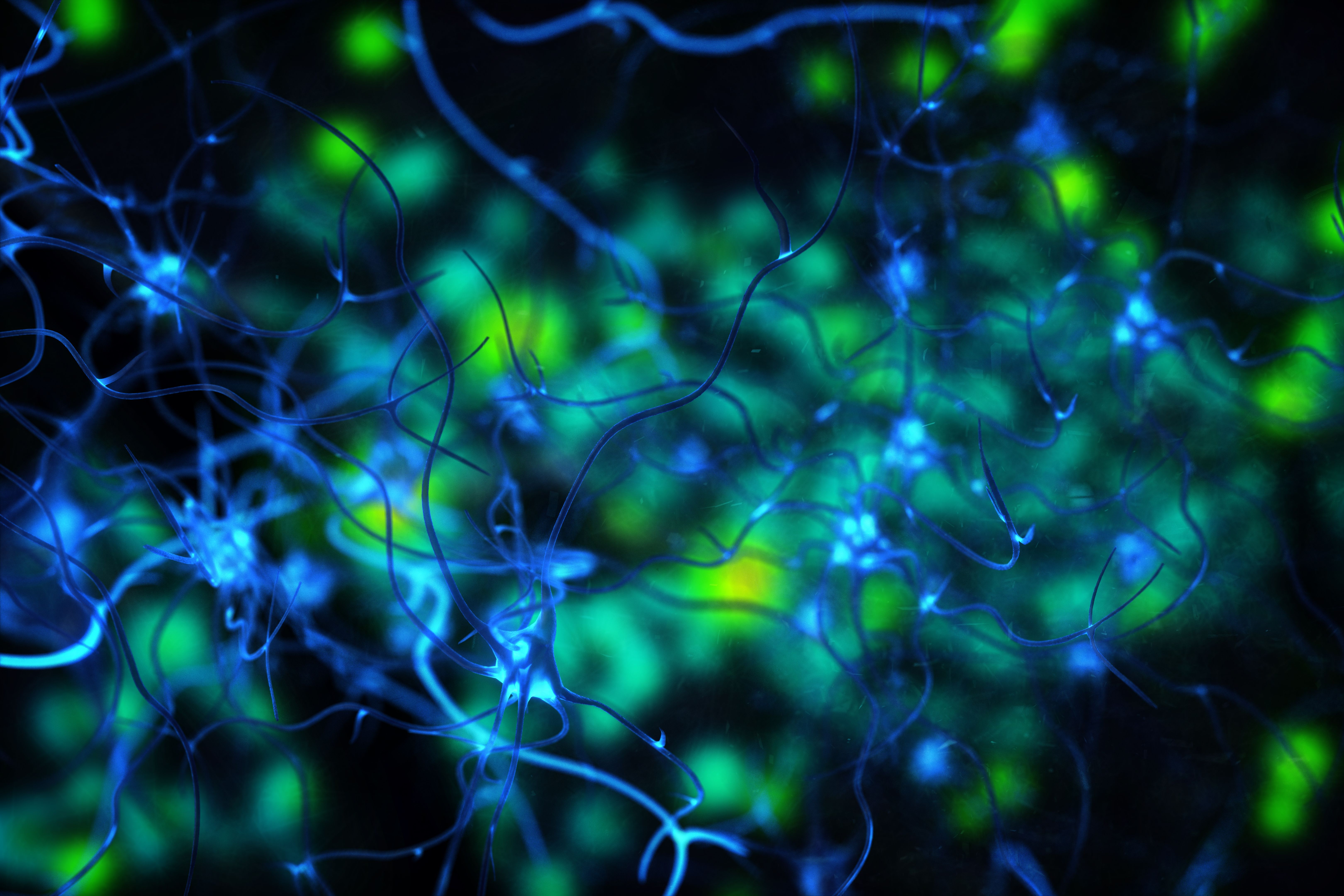 Nerve Cell 3D BCI idea Biomedical Illustration