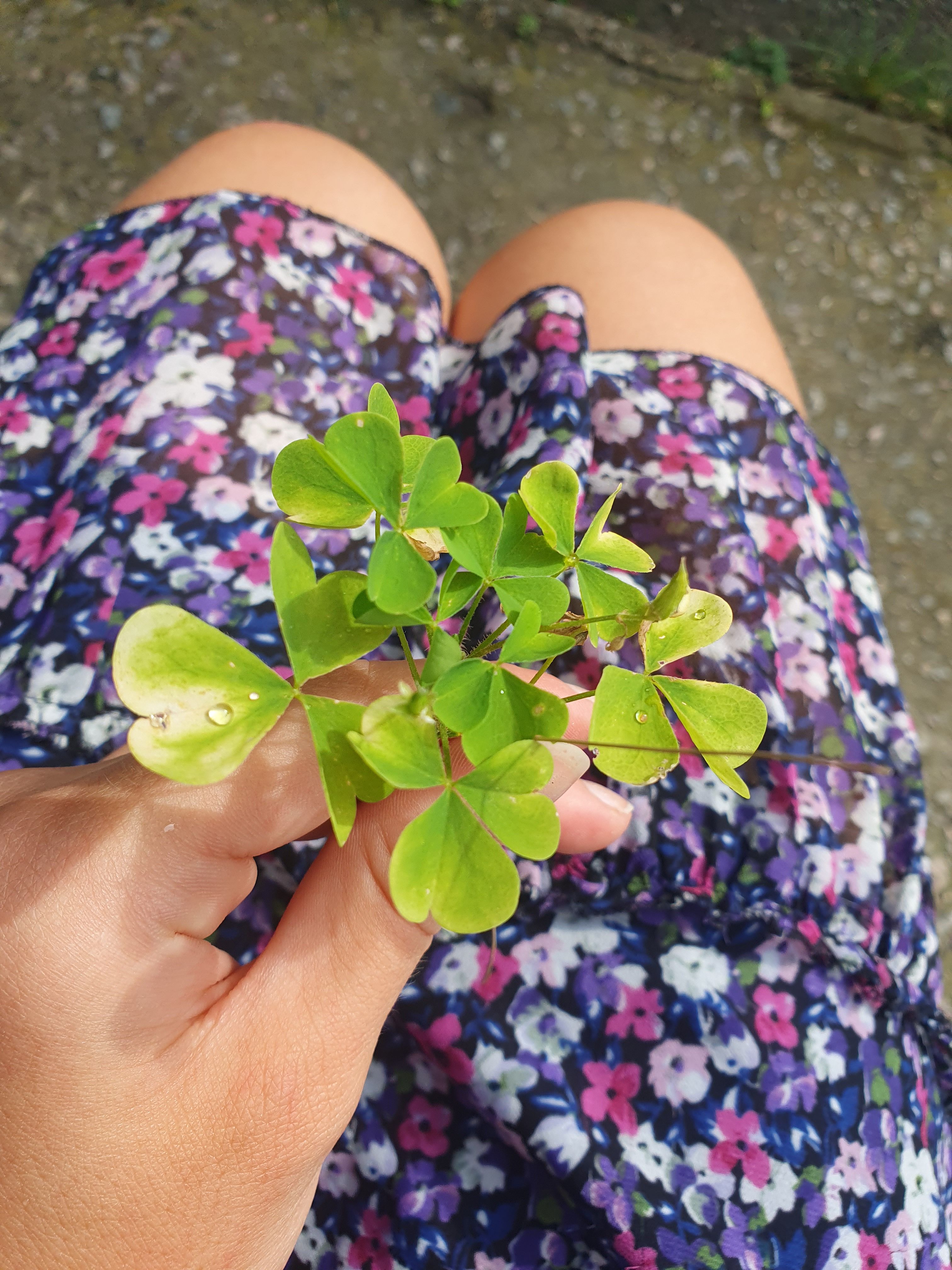 Biology doesn’t always follow the rulebook, it follows possibility