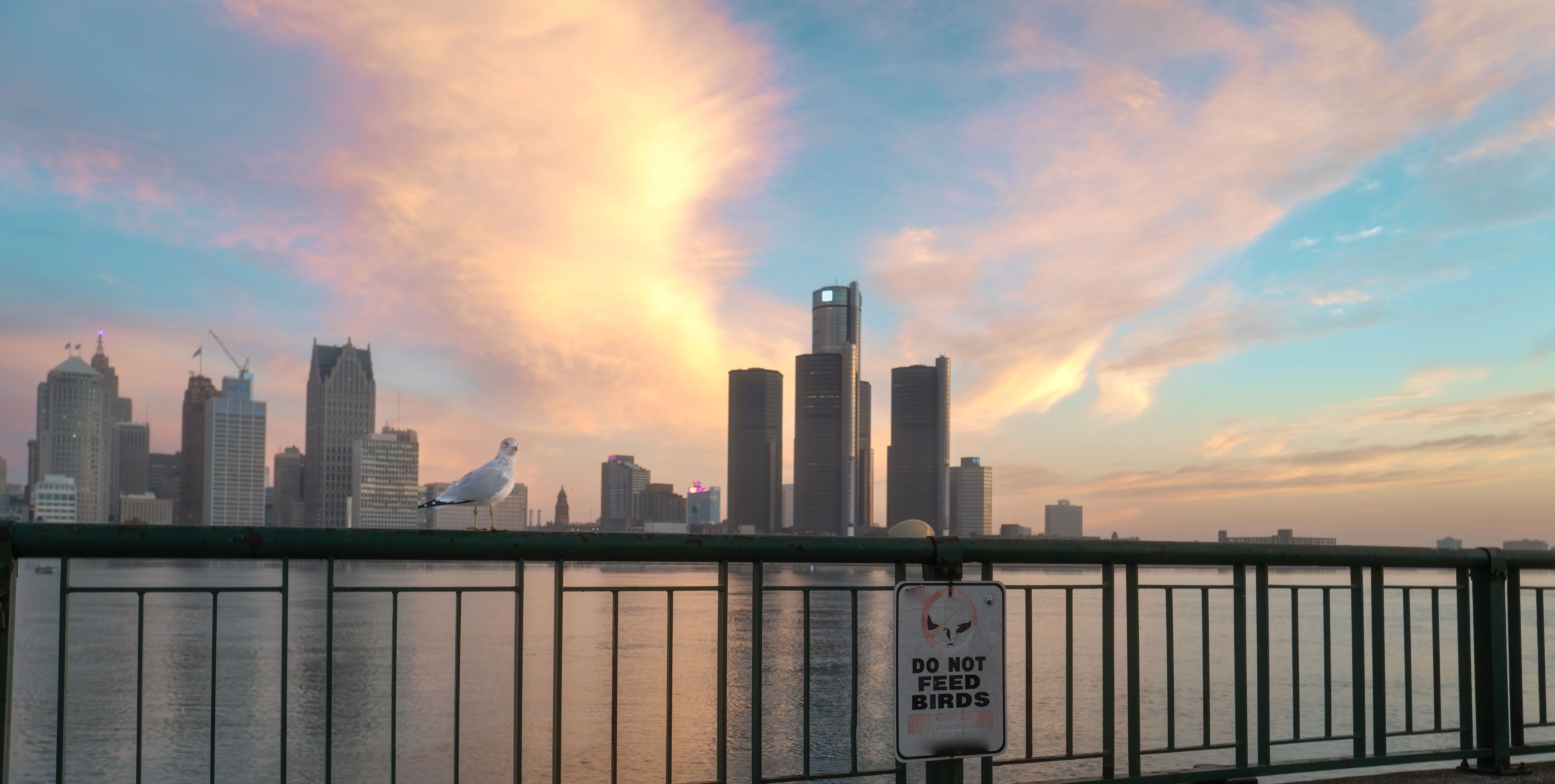 detroit storytelling