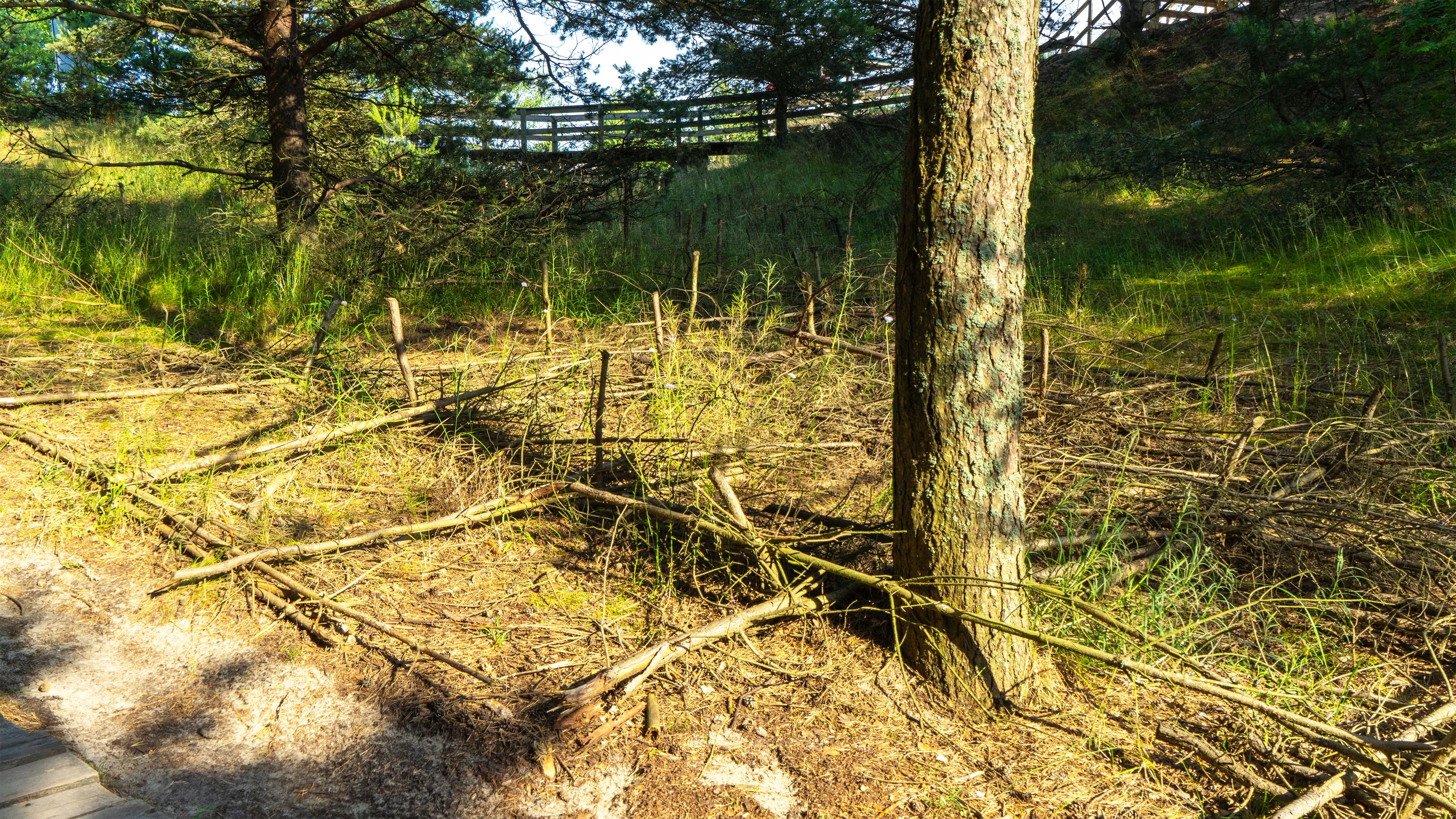 eco-friendly leaching