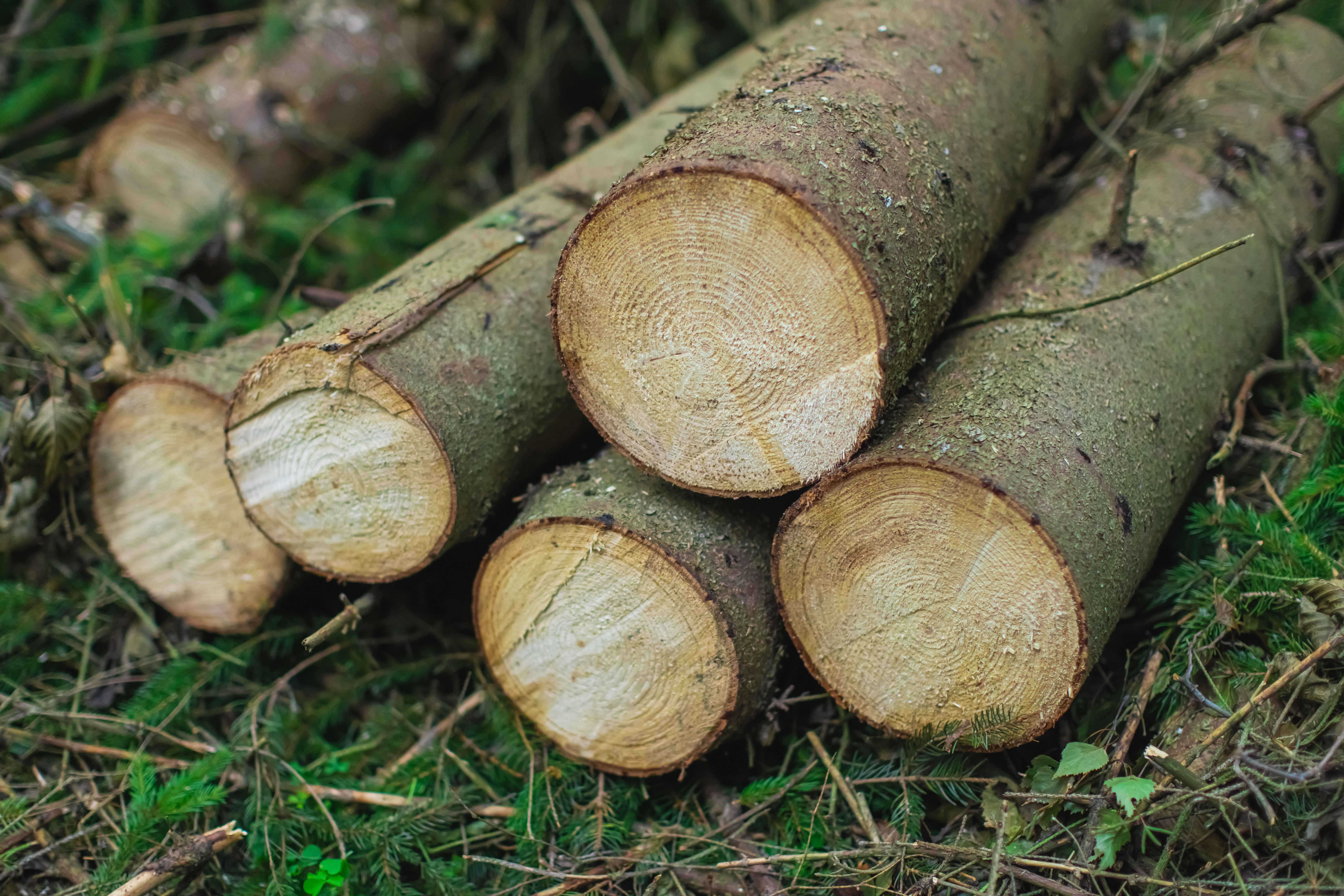 eco-friendly demolition