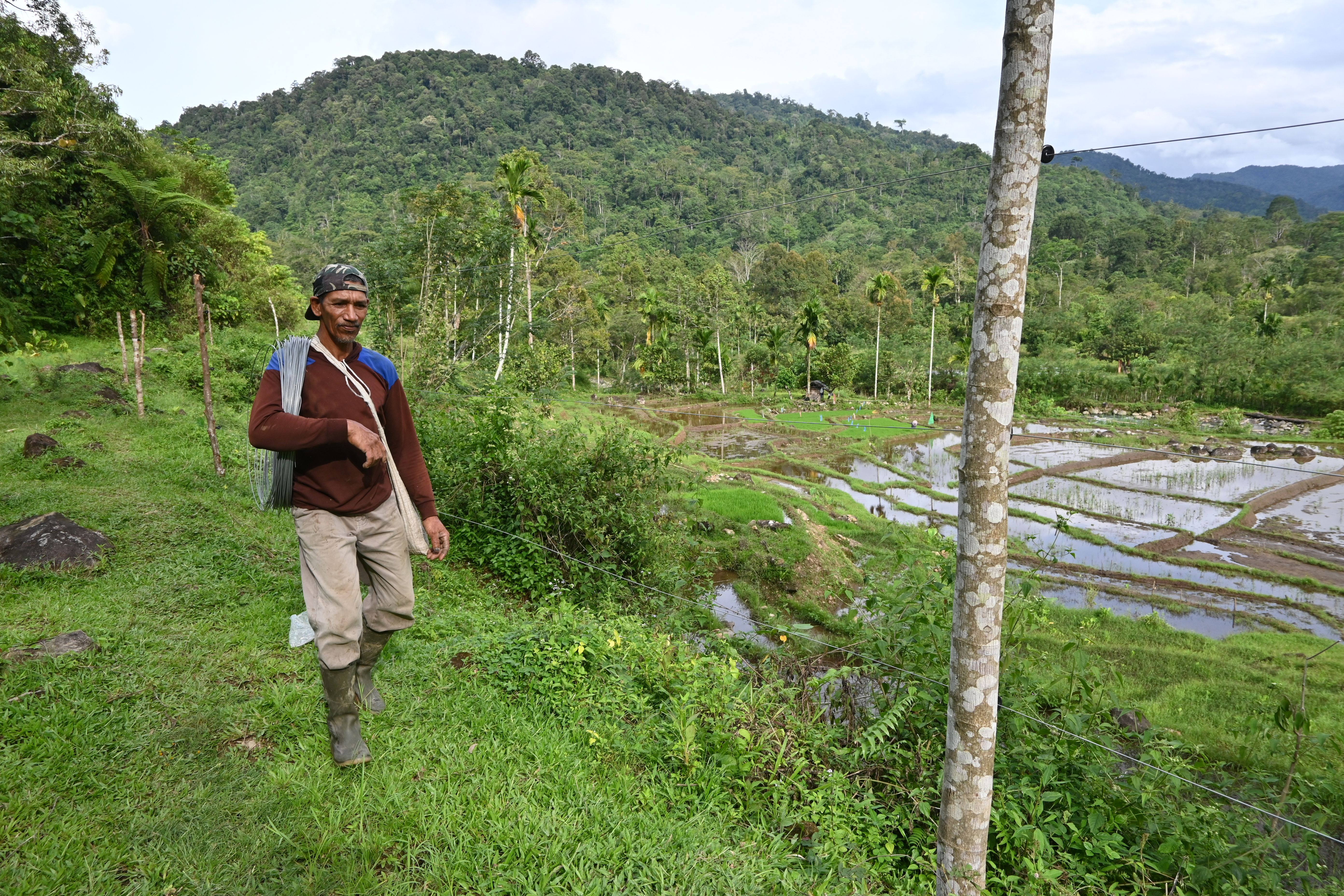 Man Walking Carrying Wires to Attach to Fence-Stock Photo Man Walking Carrying Wires to Attach to Fence-Stock Photo