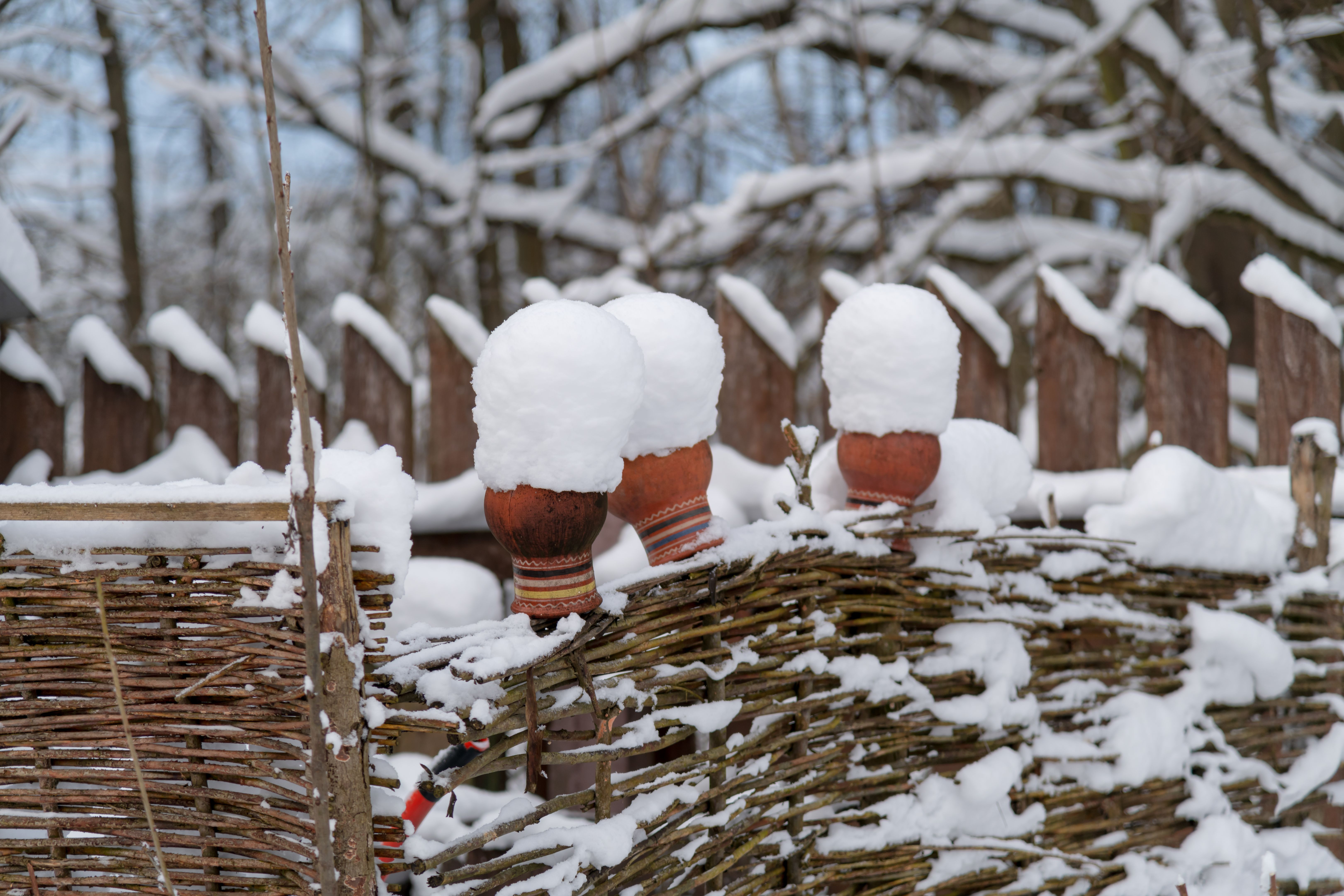 winter fence preparation