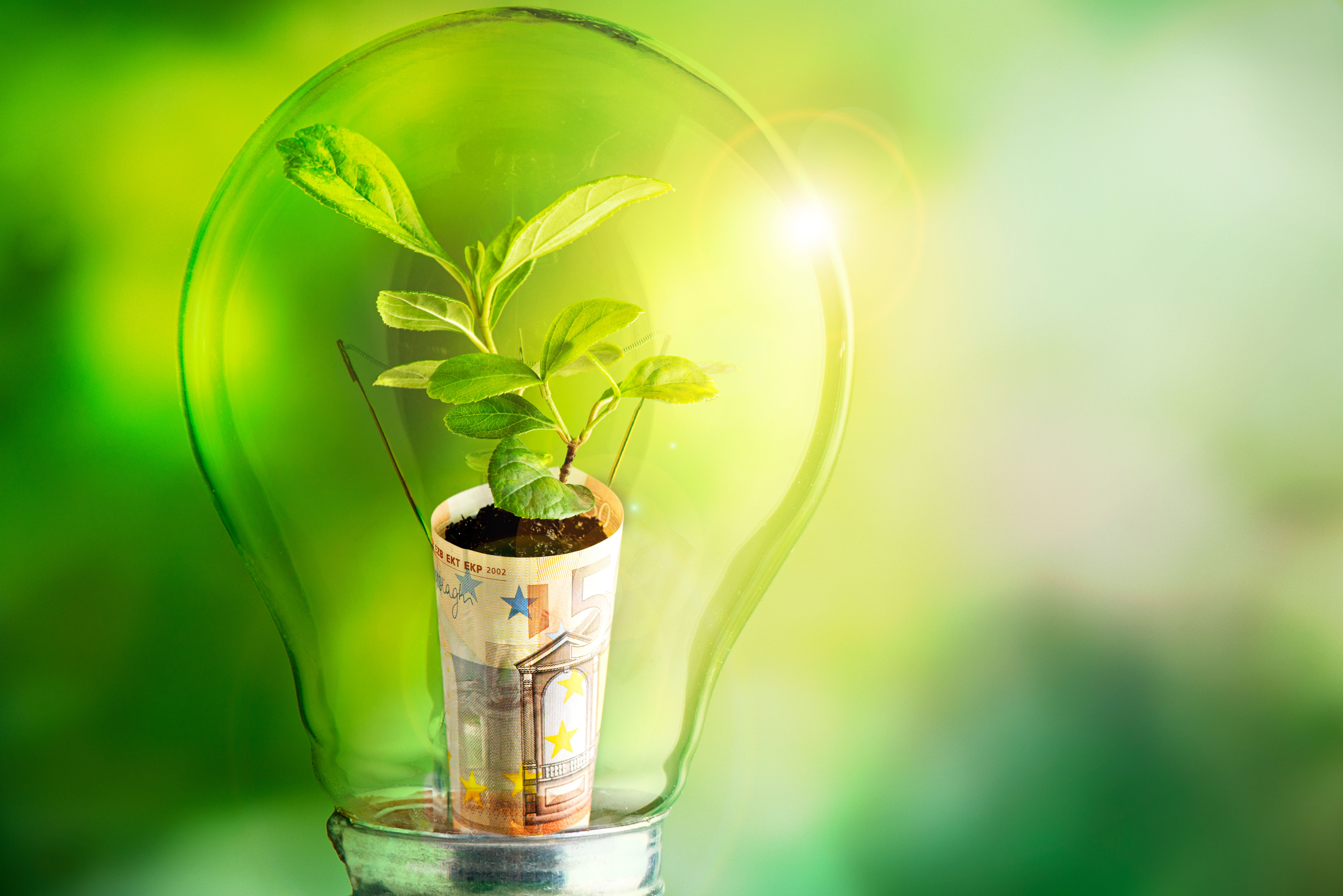 renewable energy savings