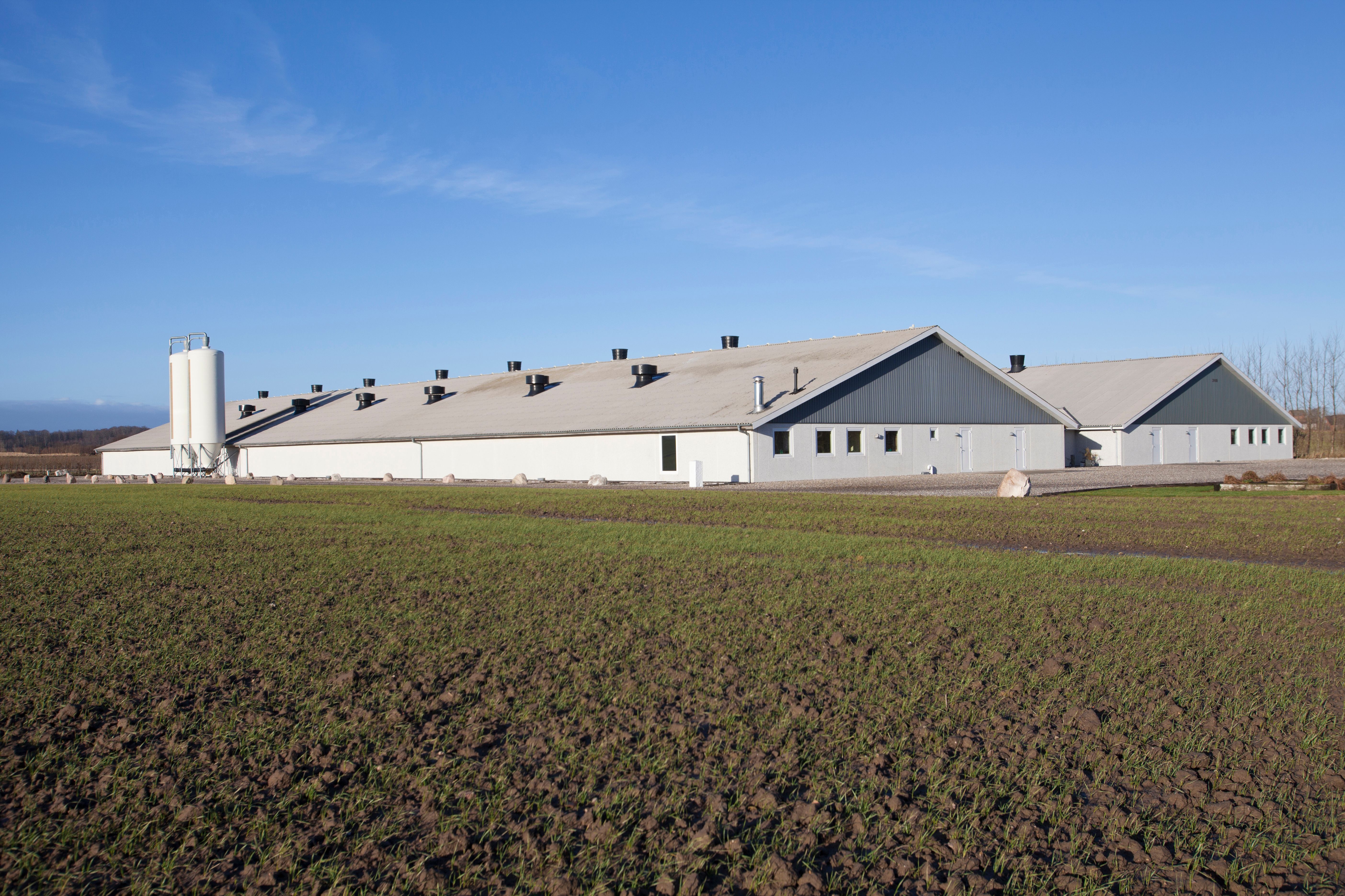 ventilation barn