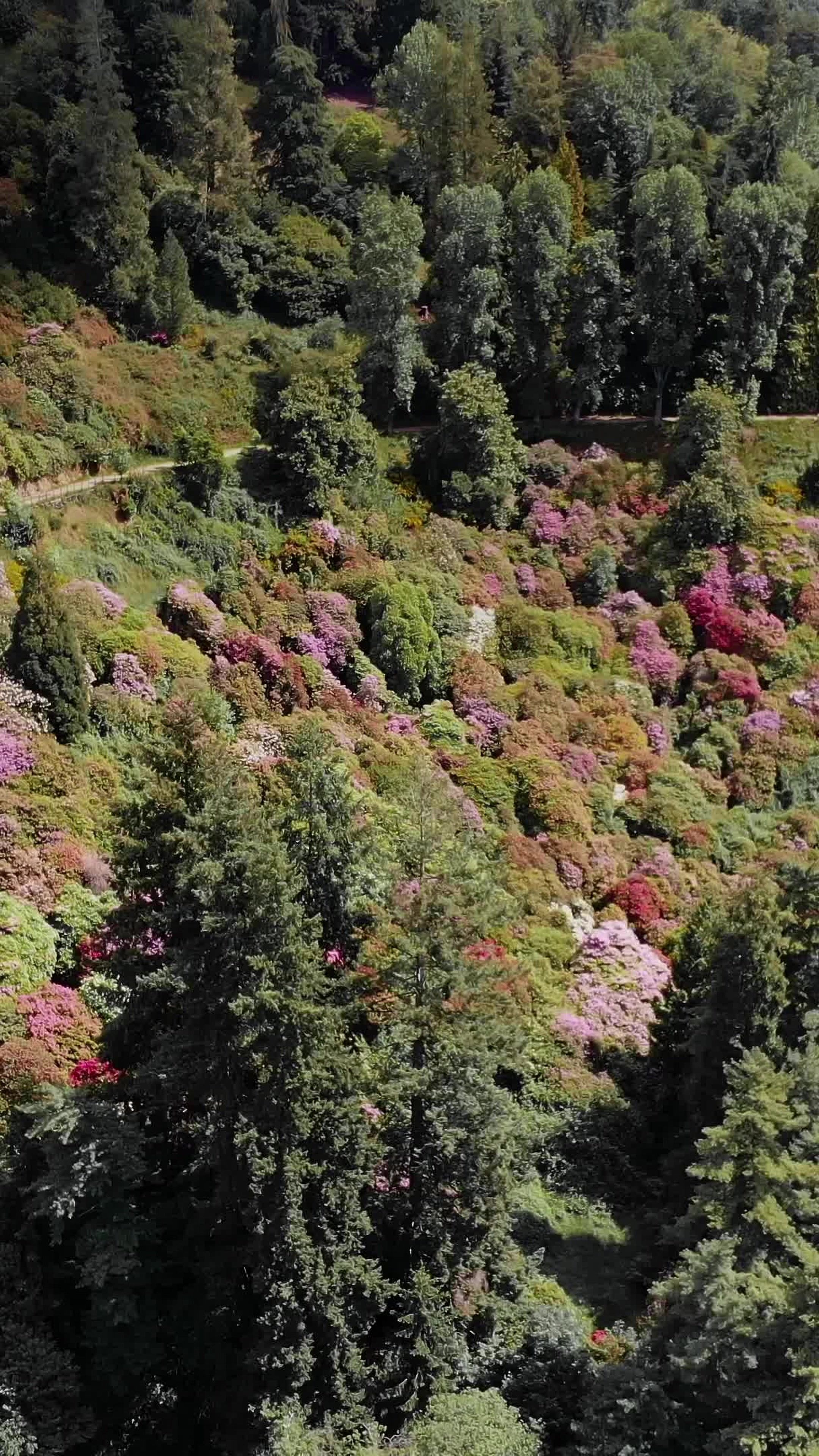 sacramento healthcare