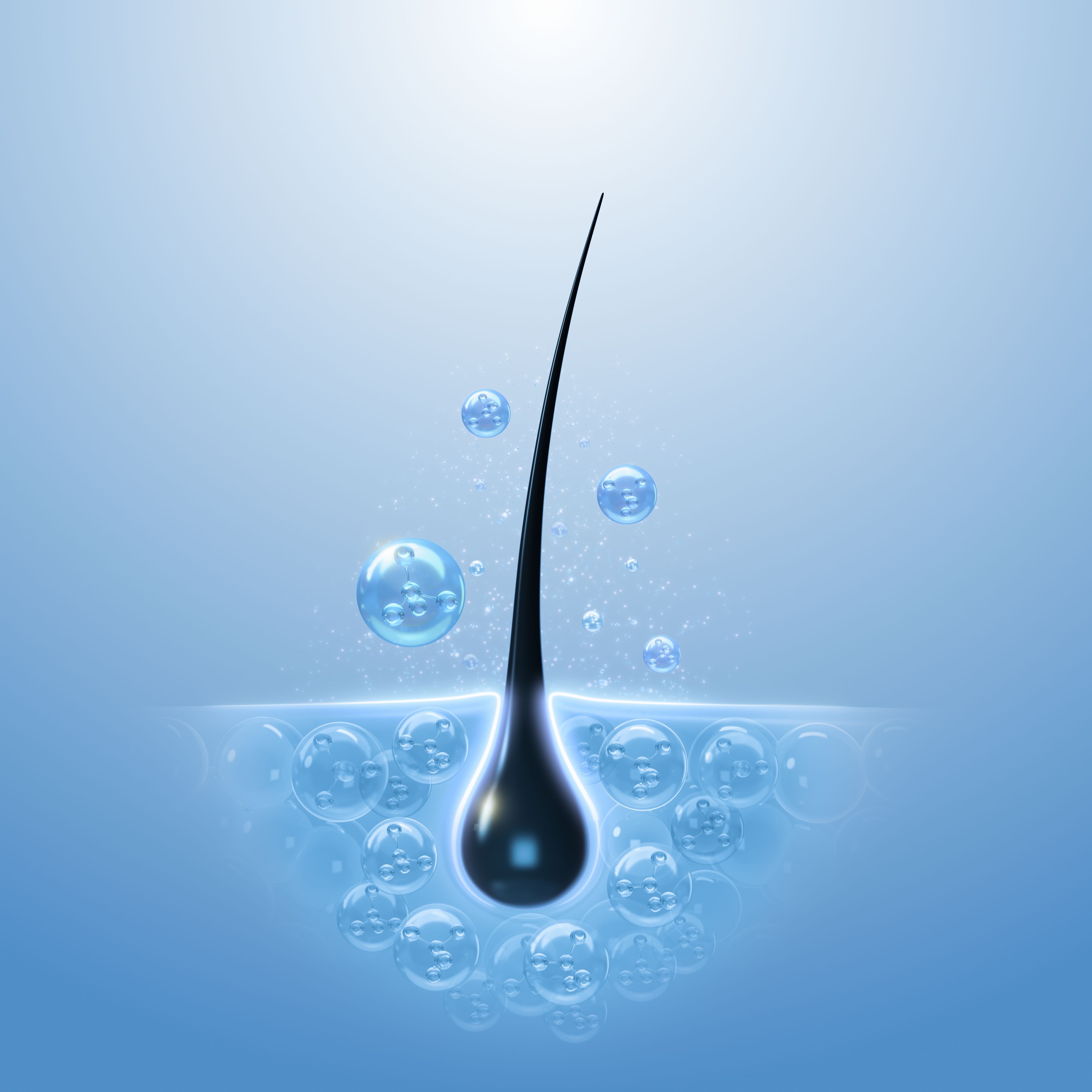 hair growth timeline