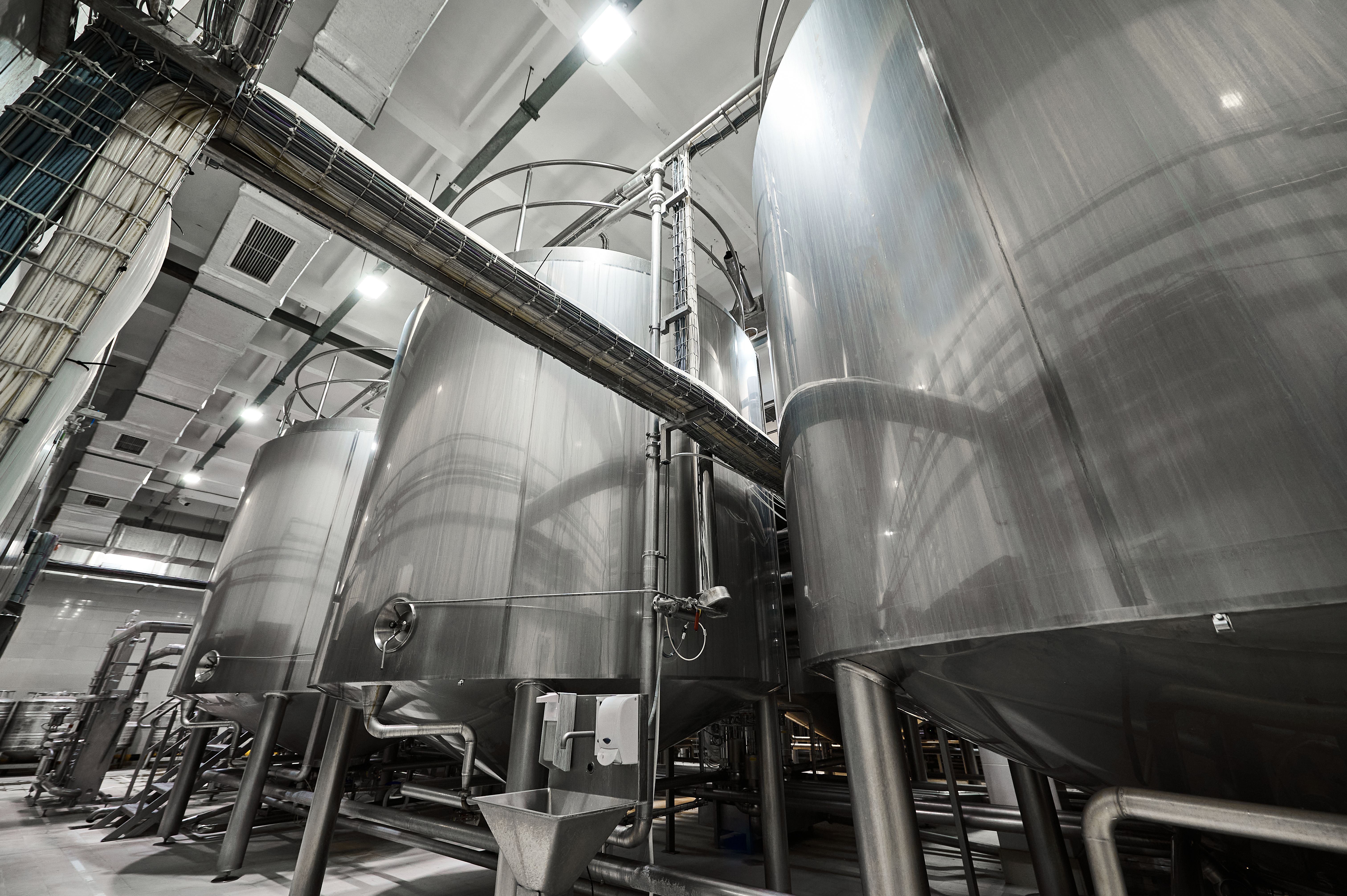 fermentation process