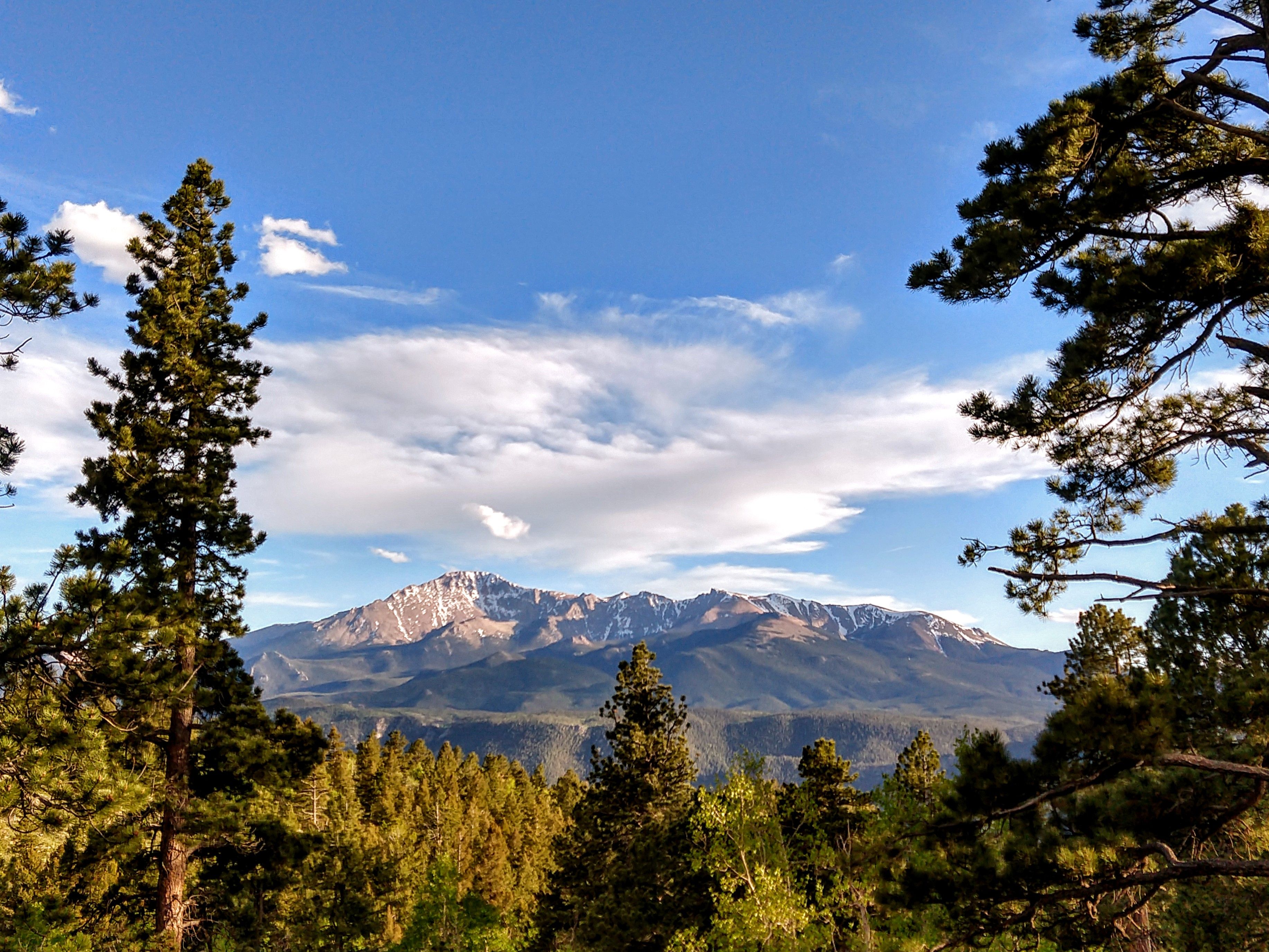 Sunny Mountain Morning View between Dark Green Pine Trees, Against a Blue Cloud Sky Sunny Mountain Morning View between Dark Green Pine Trees, Against a Blue Cloud Sky