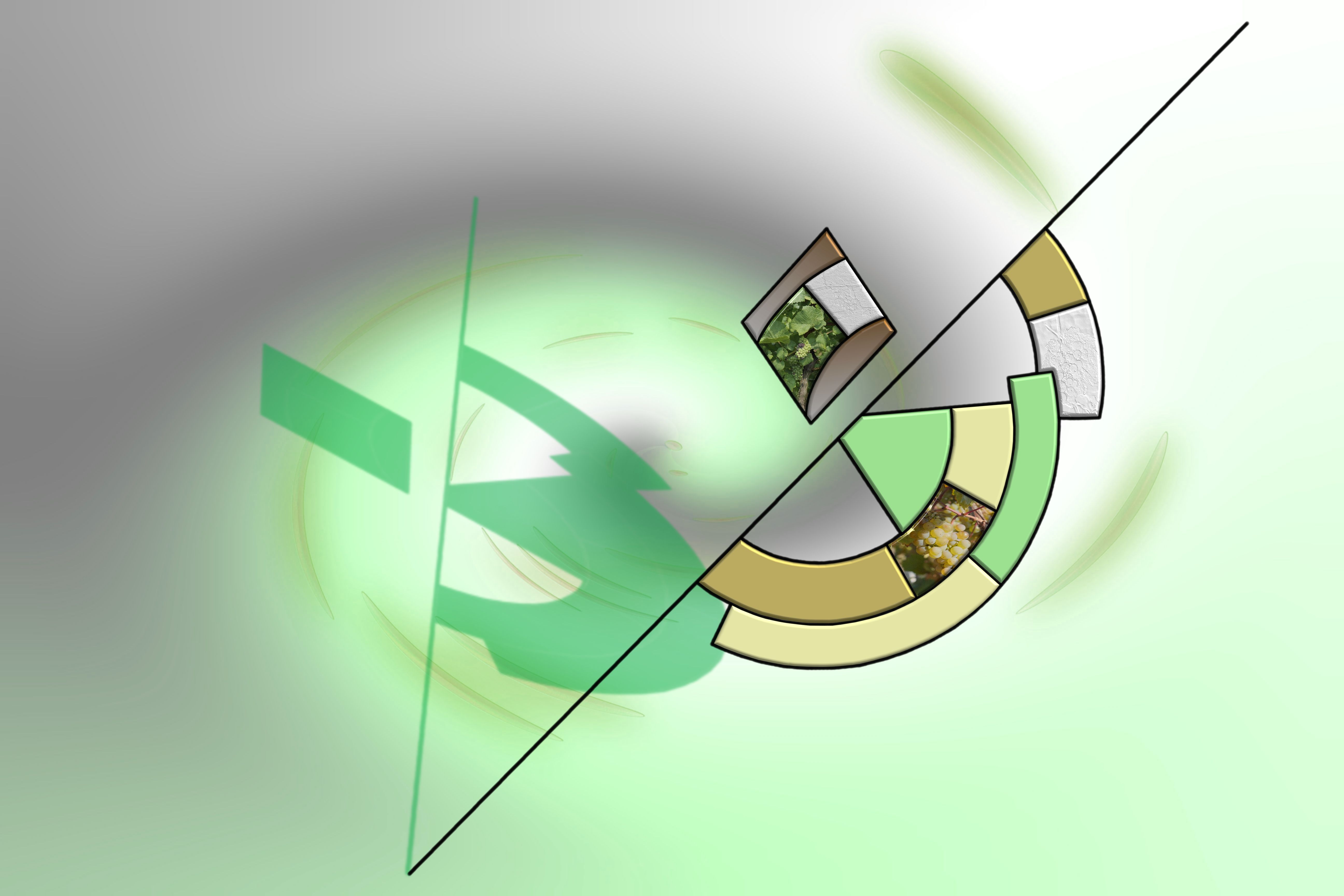 transformacion exitosa