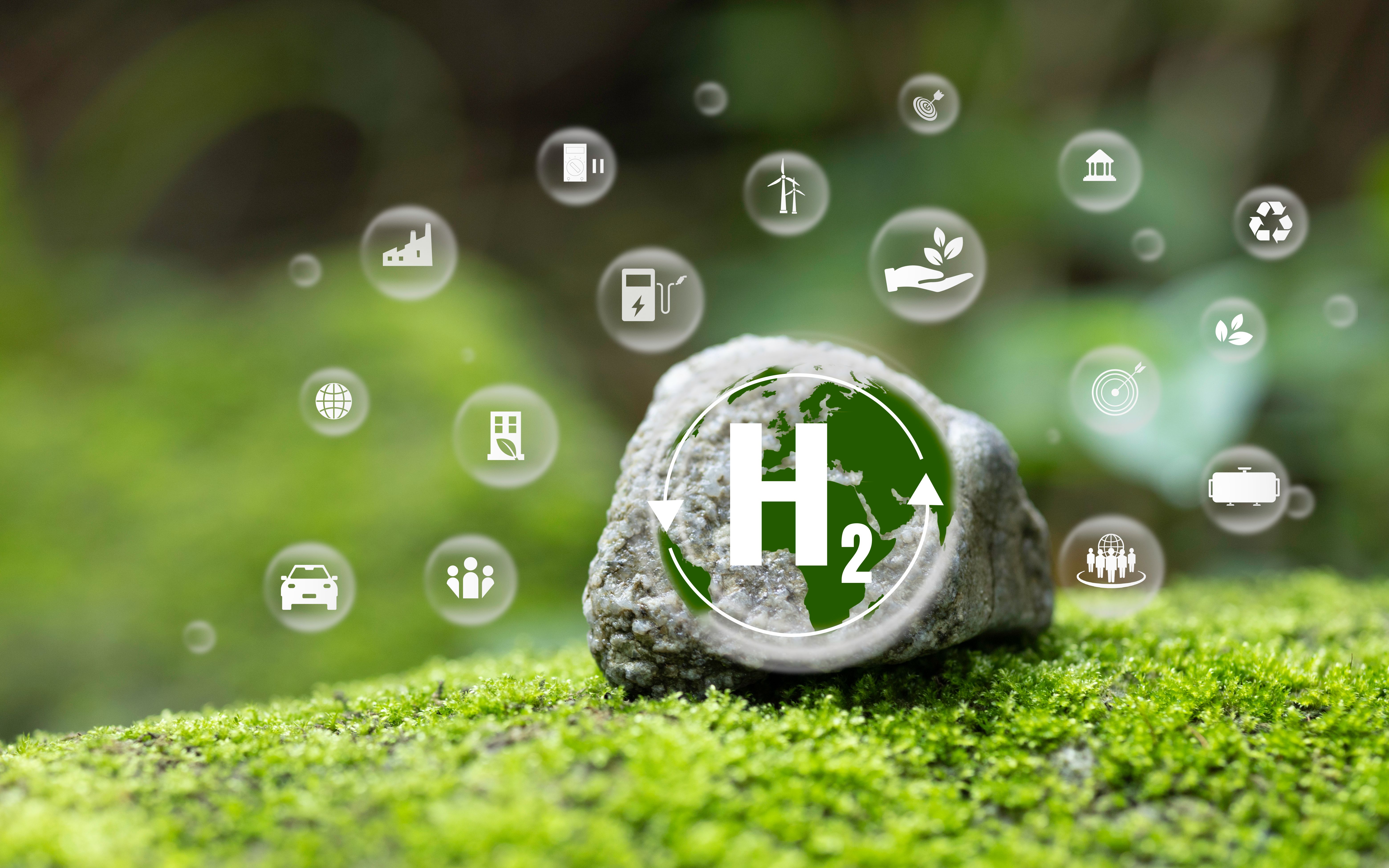 hair removal alternatives