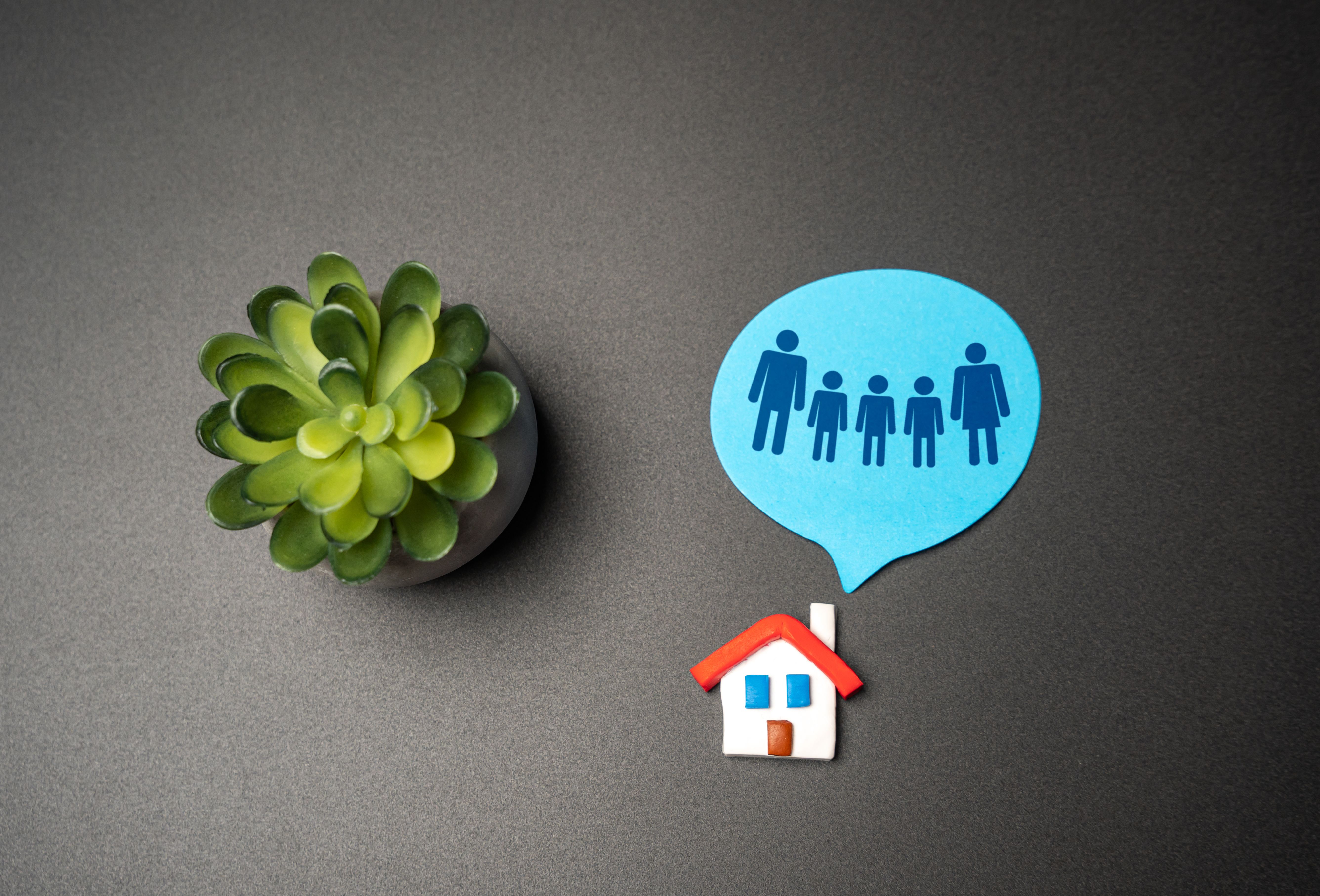 government initiatives