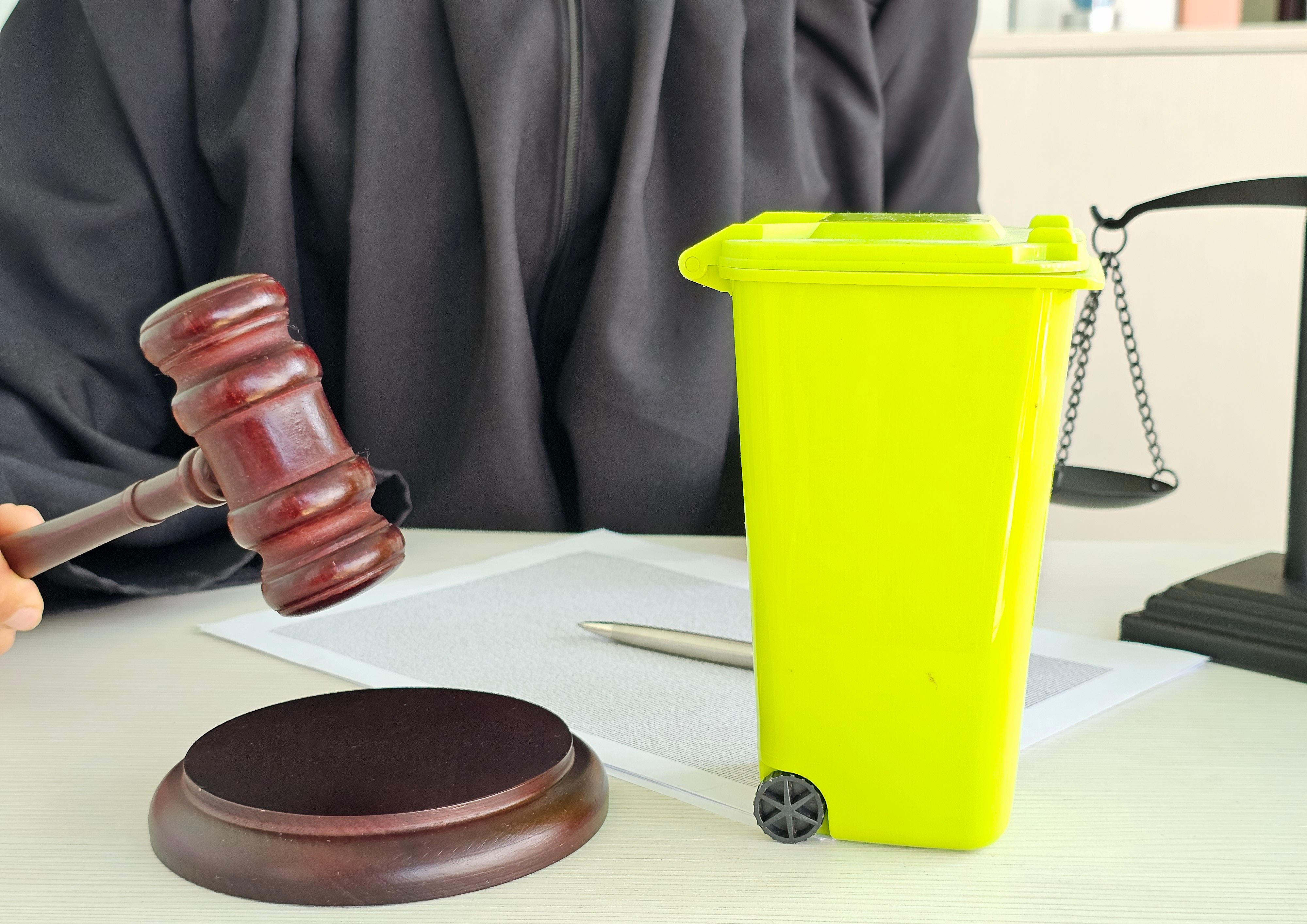 government waste policy