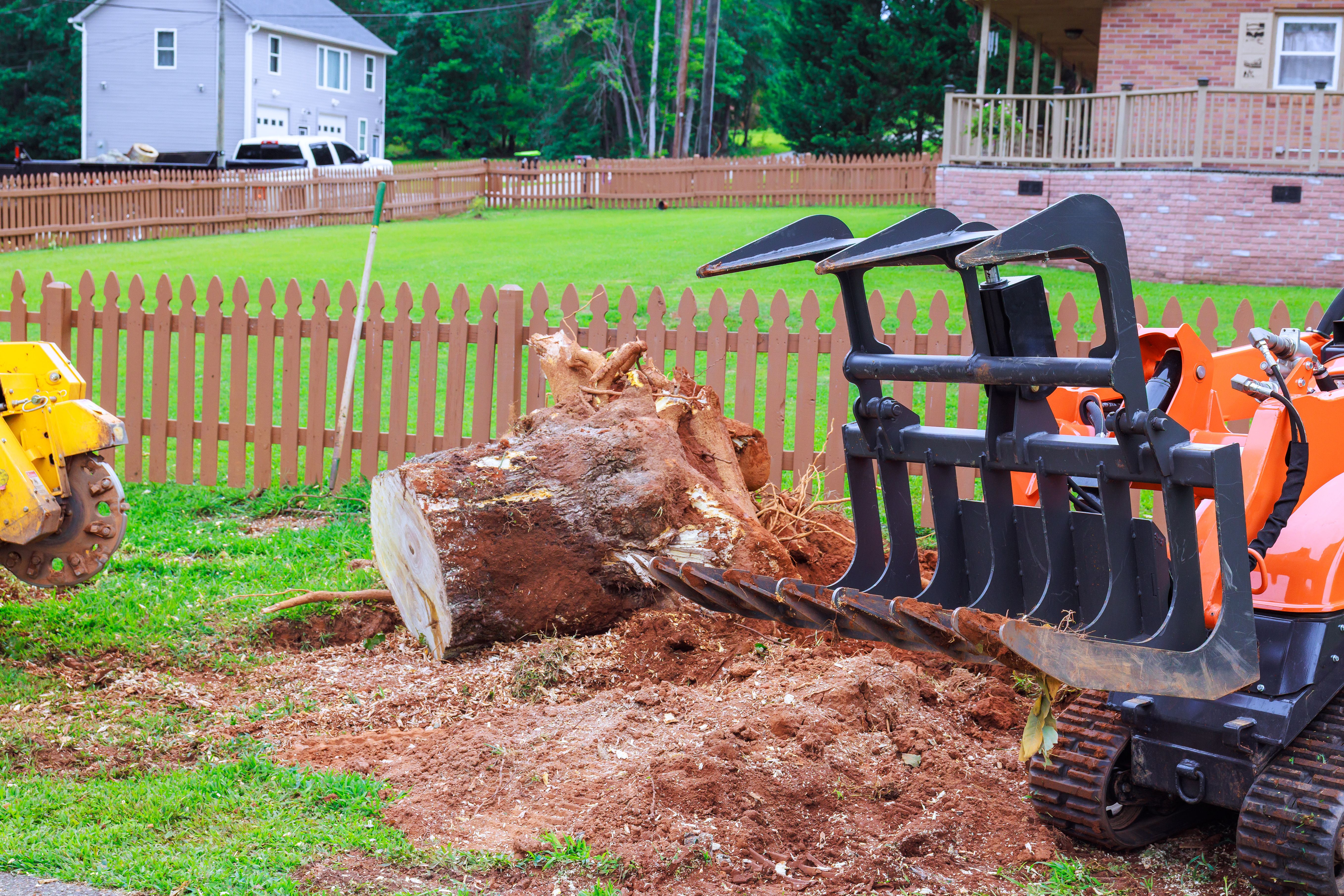 diy stump grinder