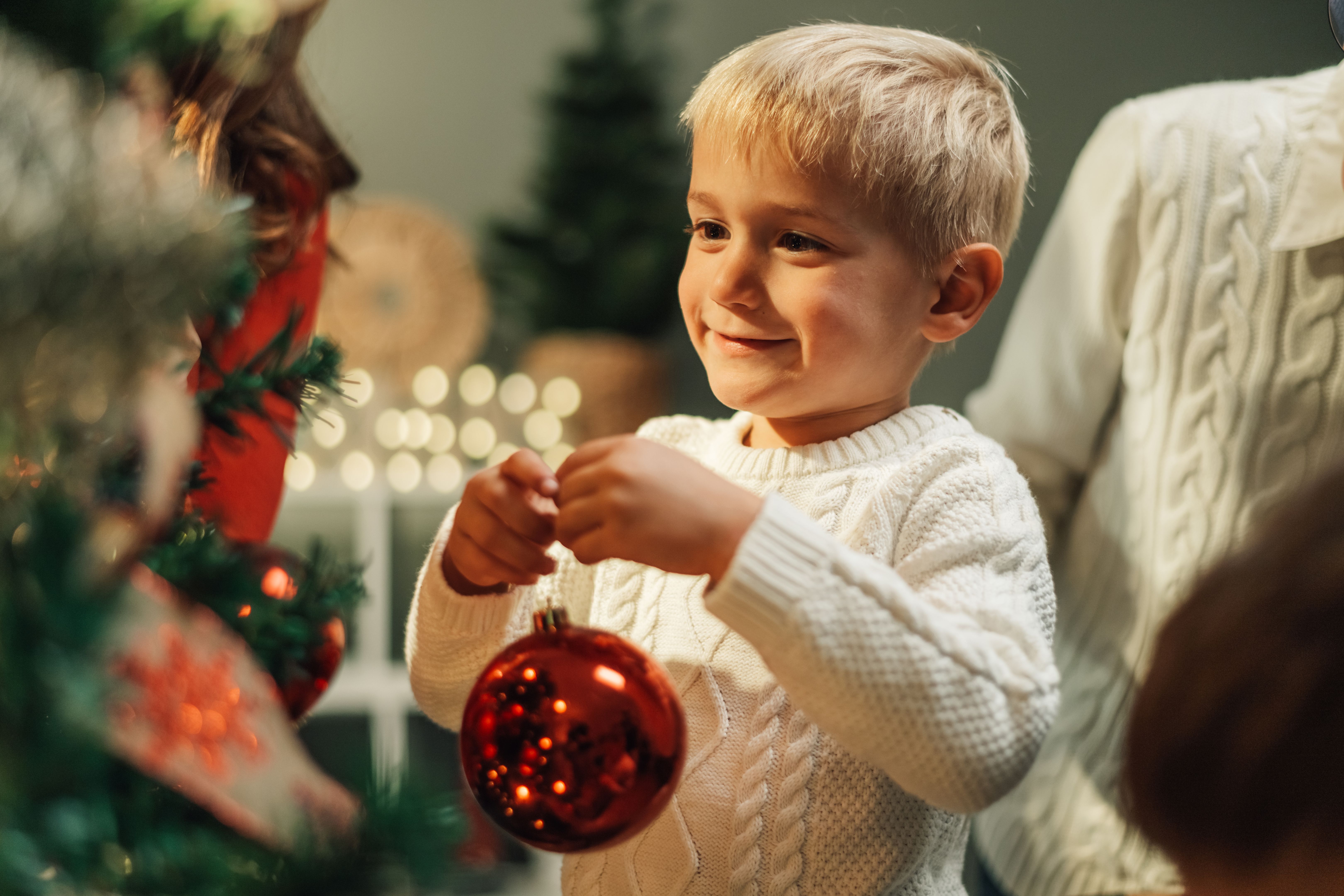 family christmas ornaments