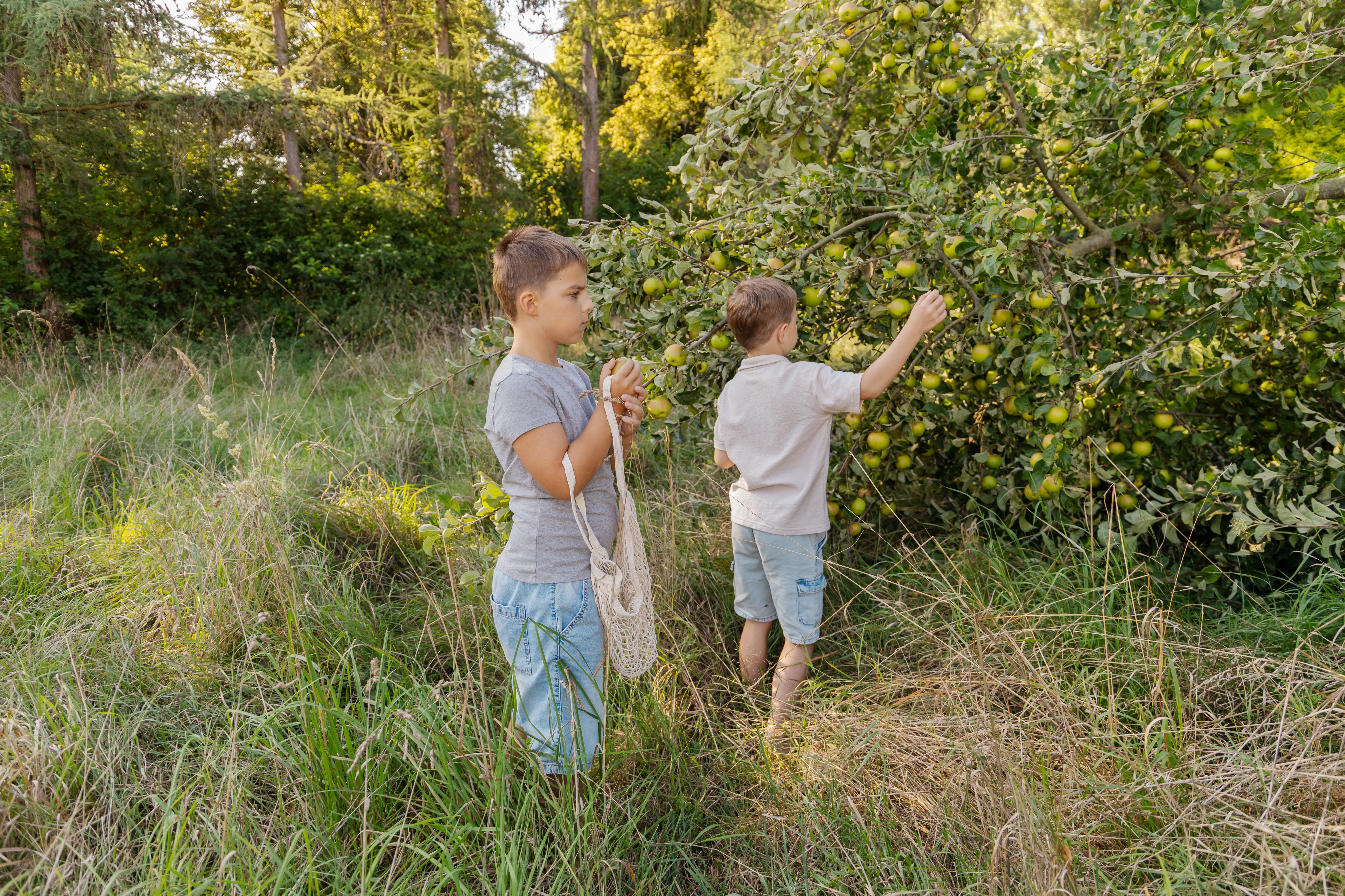 friends picking apples
