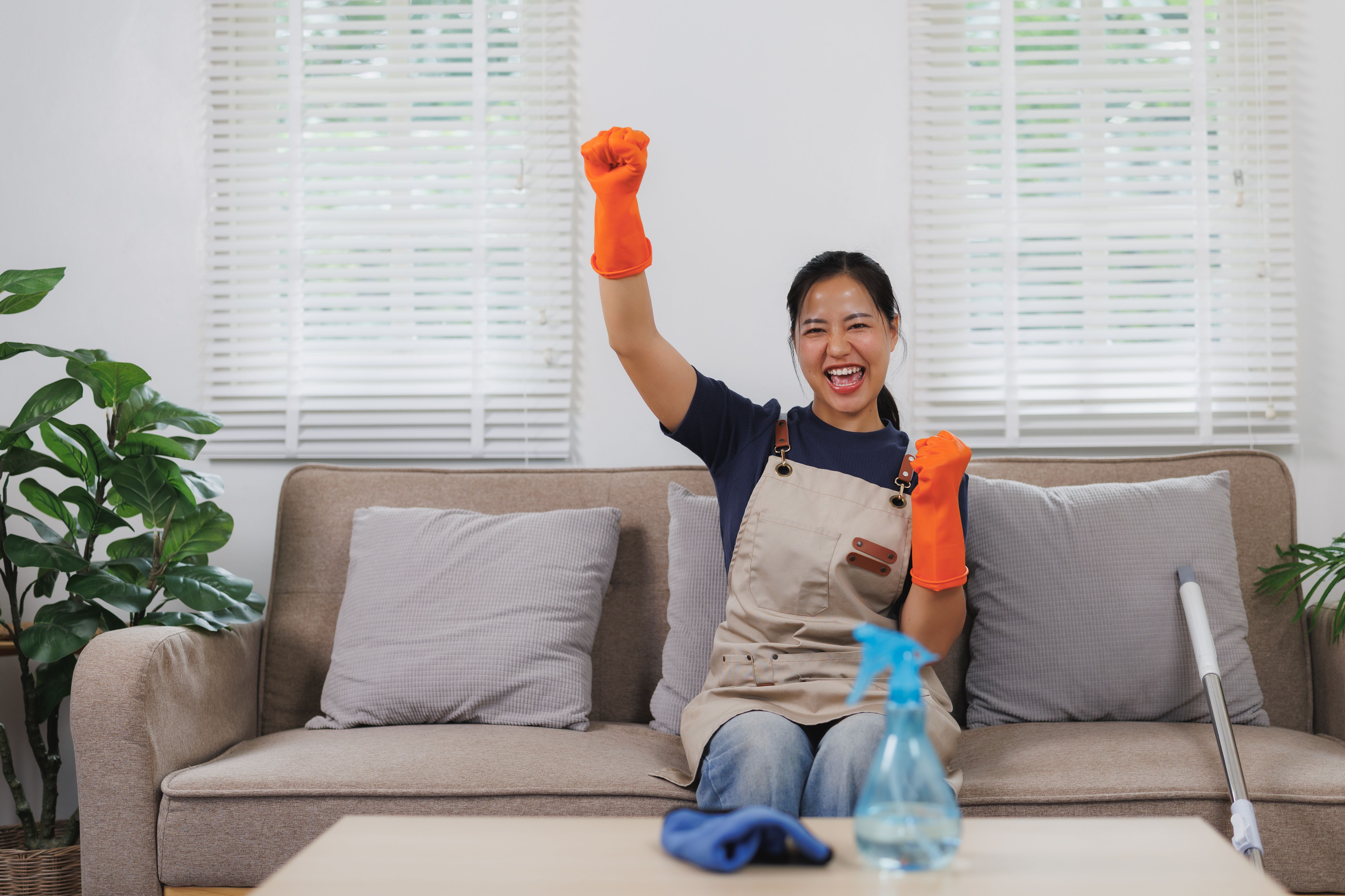 cleaning products sofa