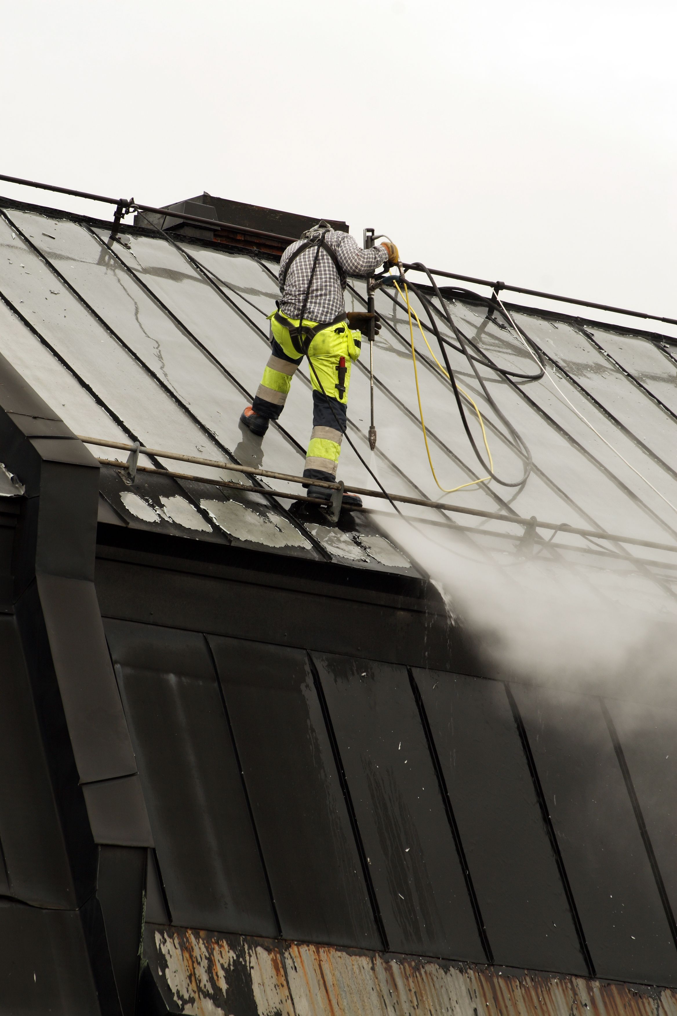 chemische reinigung dach