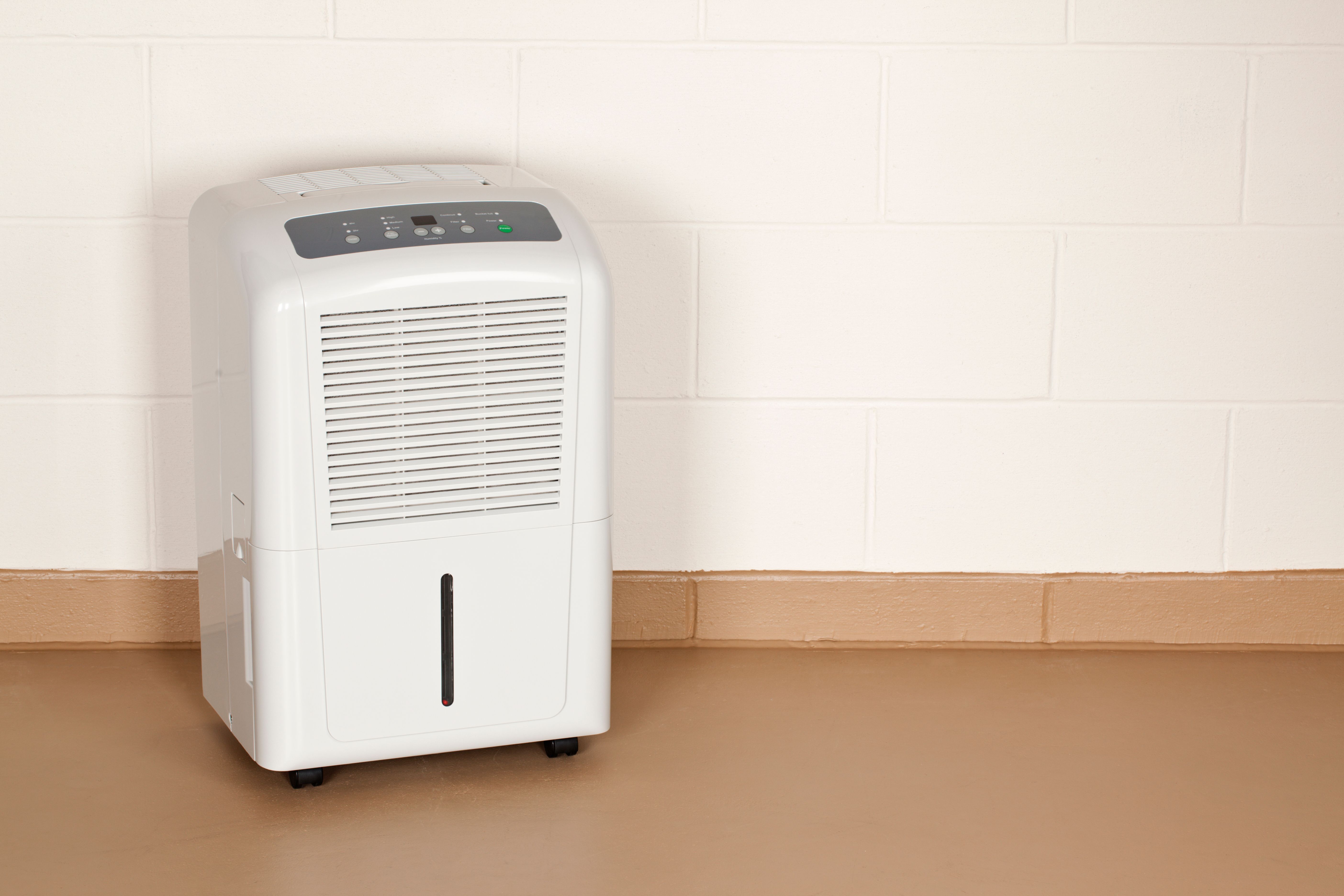 dehumidifier basement