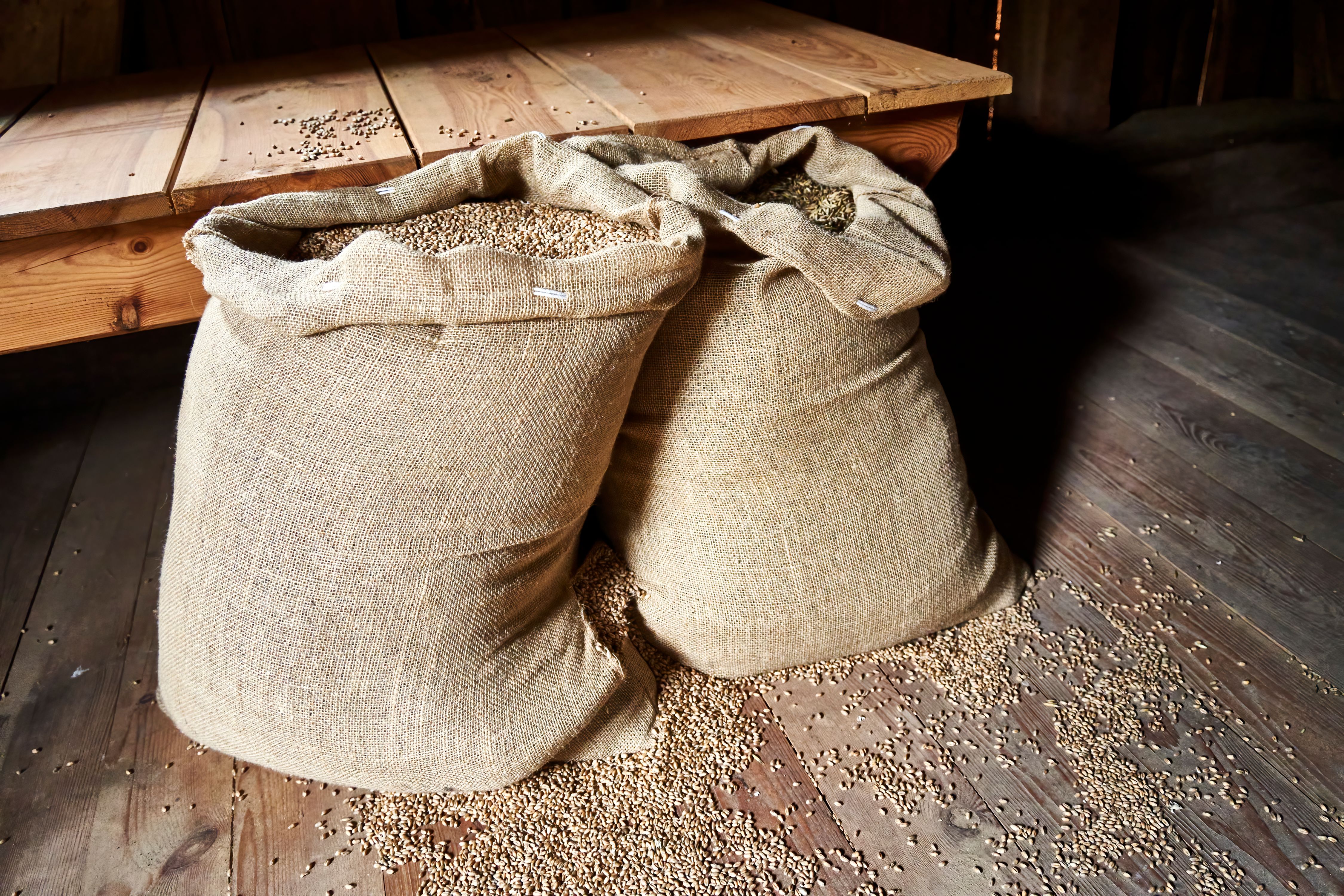 heritage grains